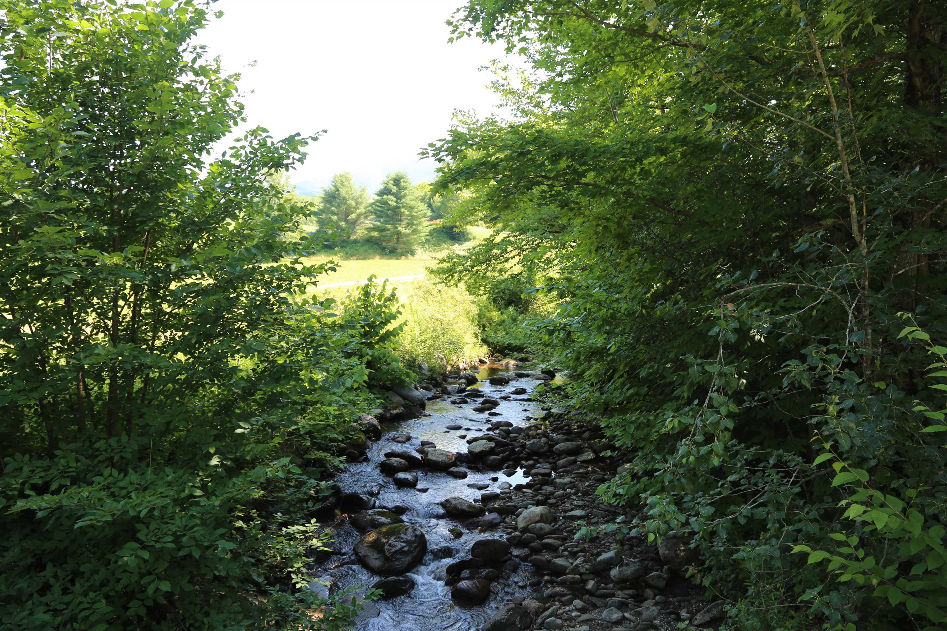 65 Stevensville Road