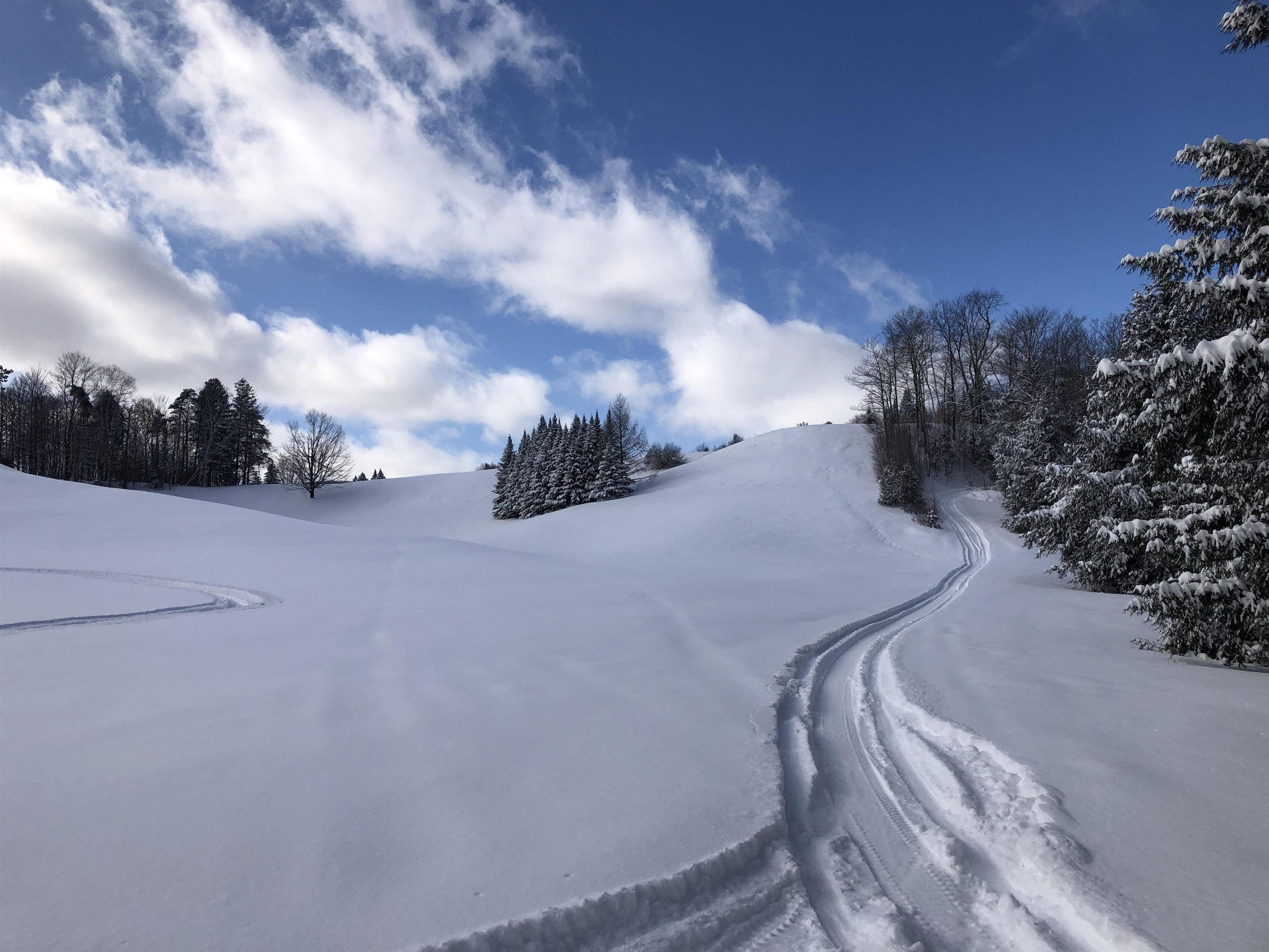 65 Stevensville Road