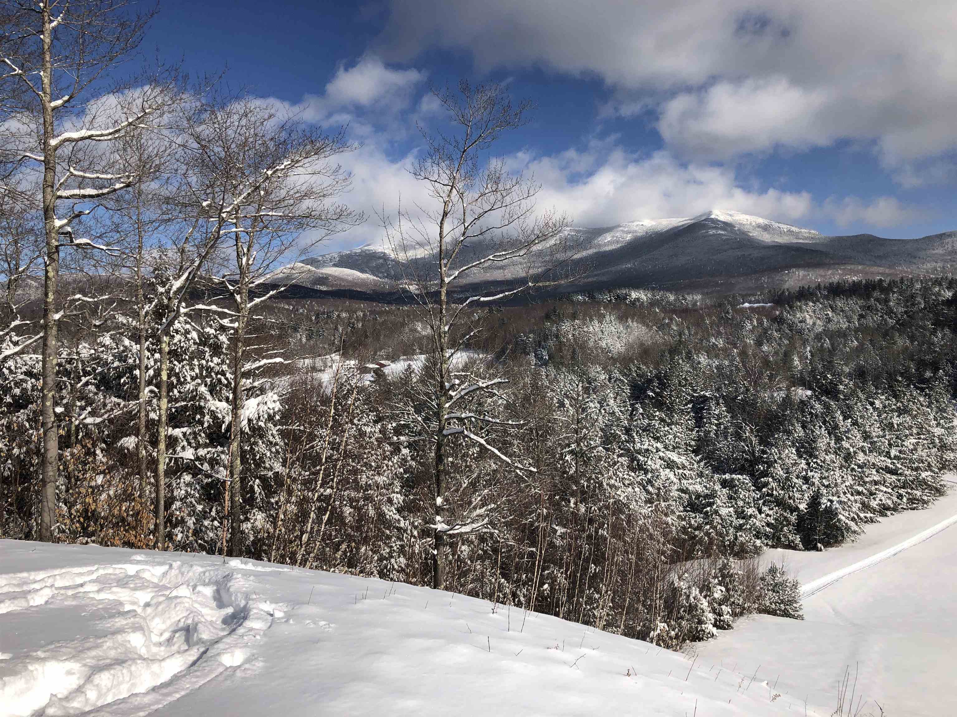 65 Stevensville Road