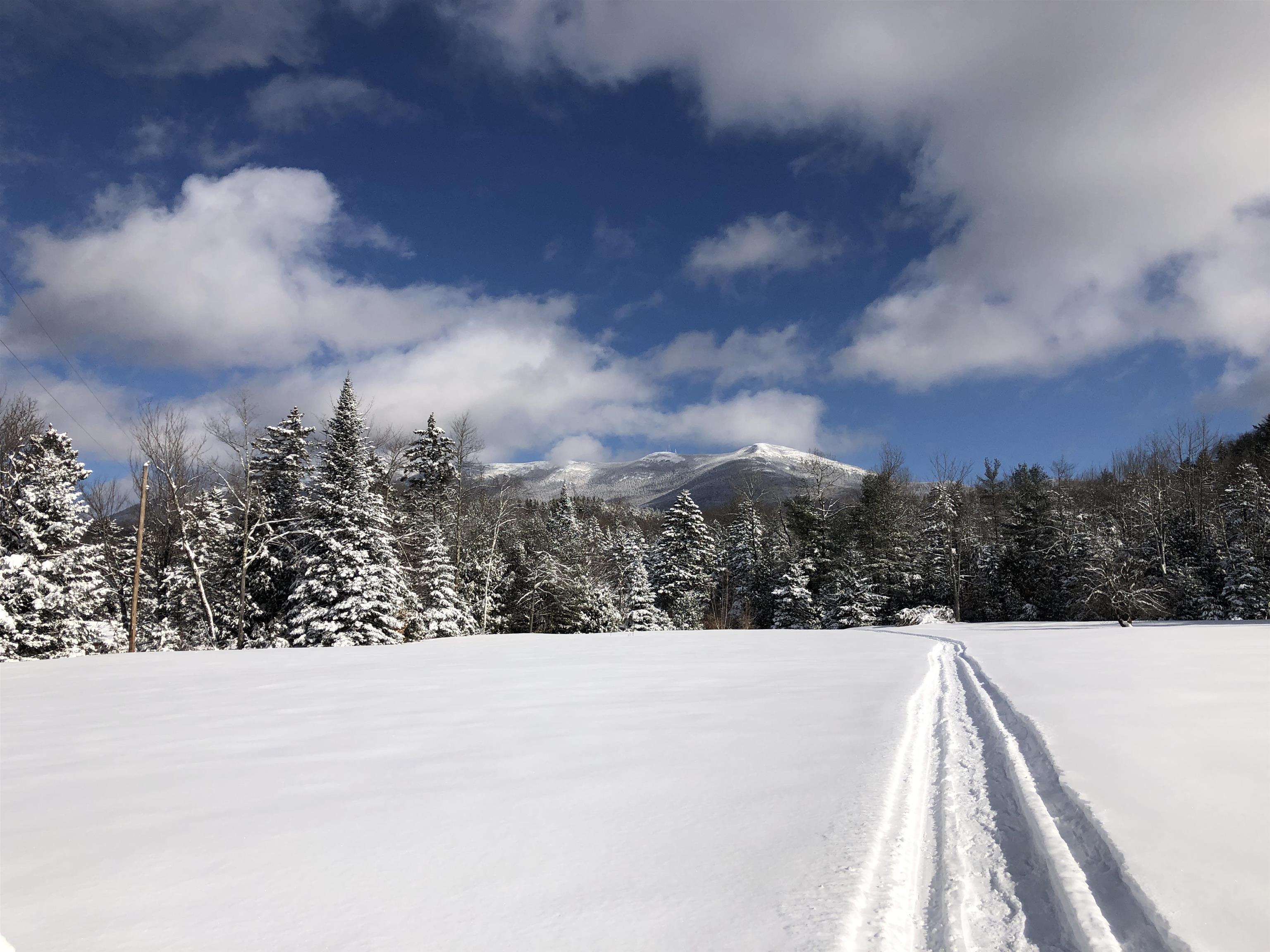 65 Stevensville Road