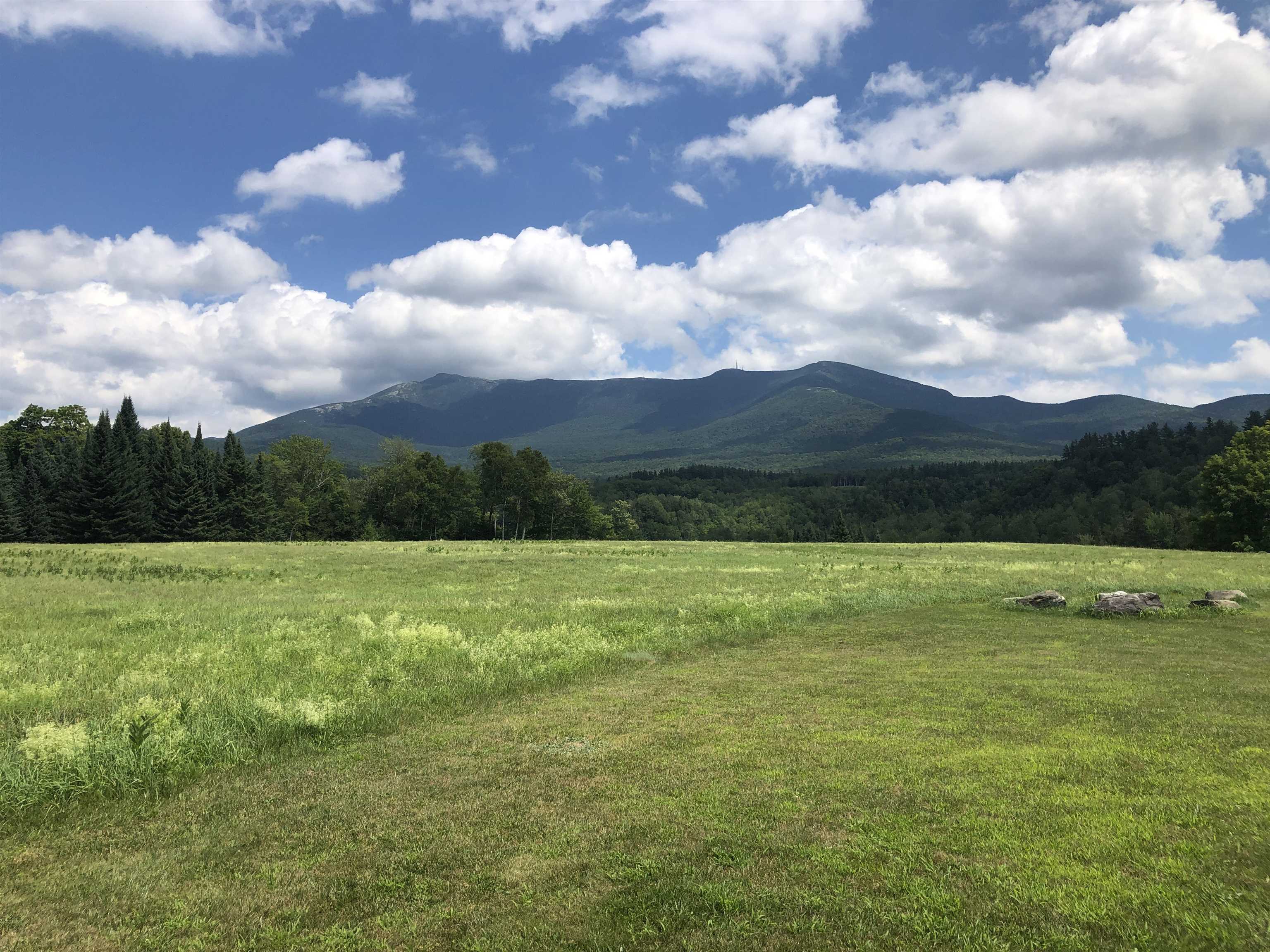 65 Stevensville Road