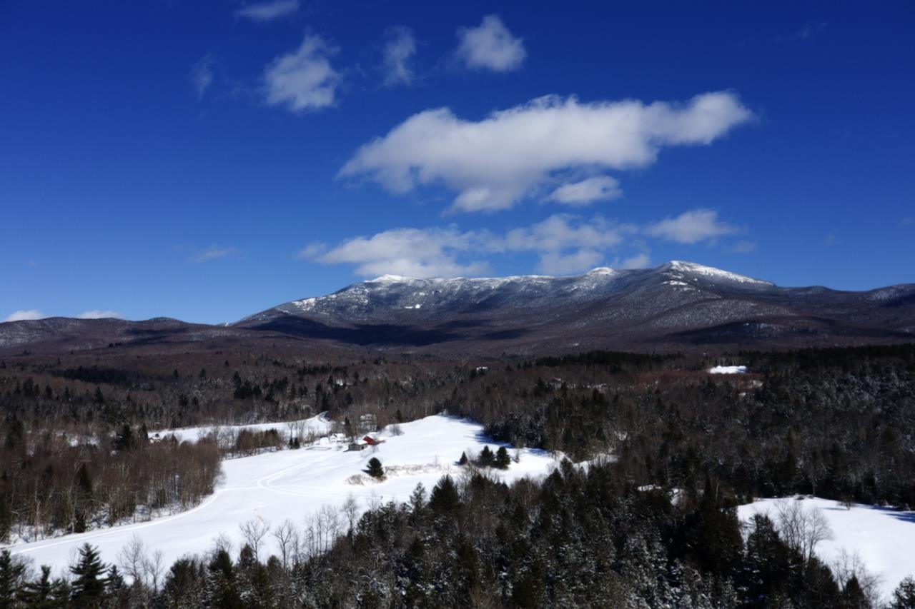 65 Stevensville Road