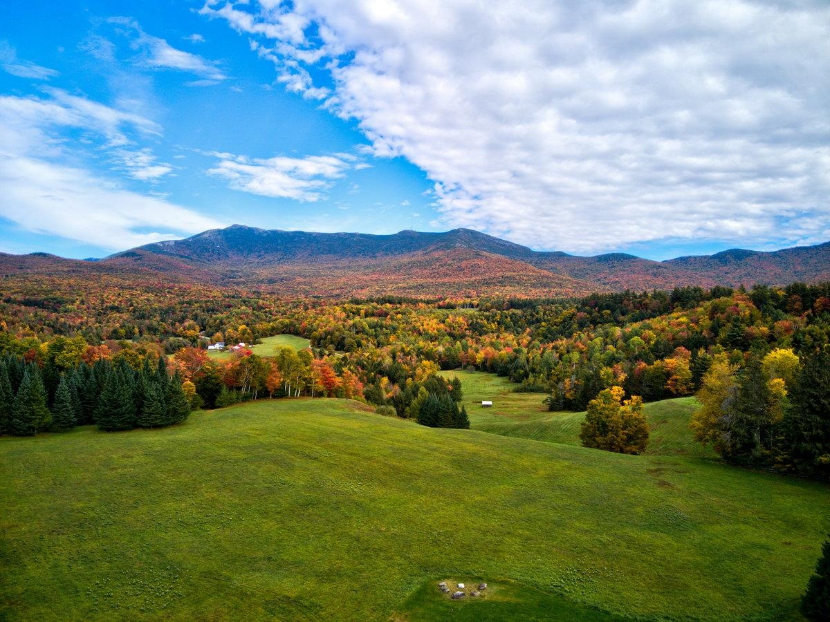 65 Stevensville Road