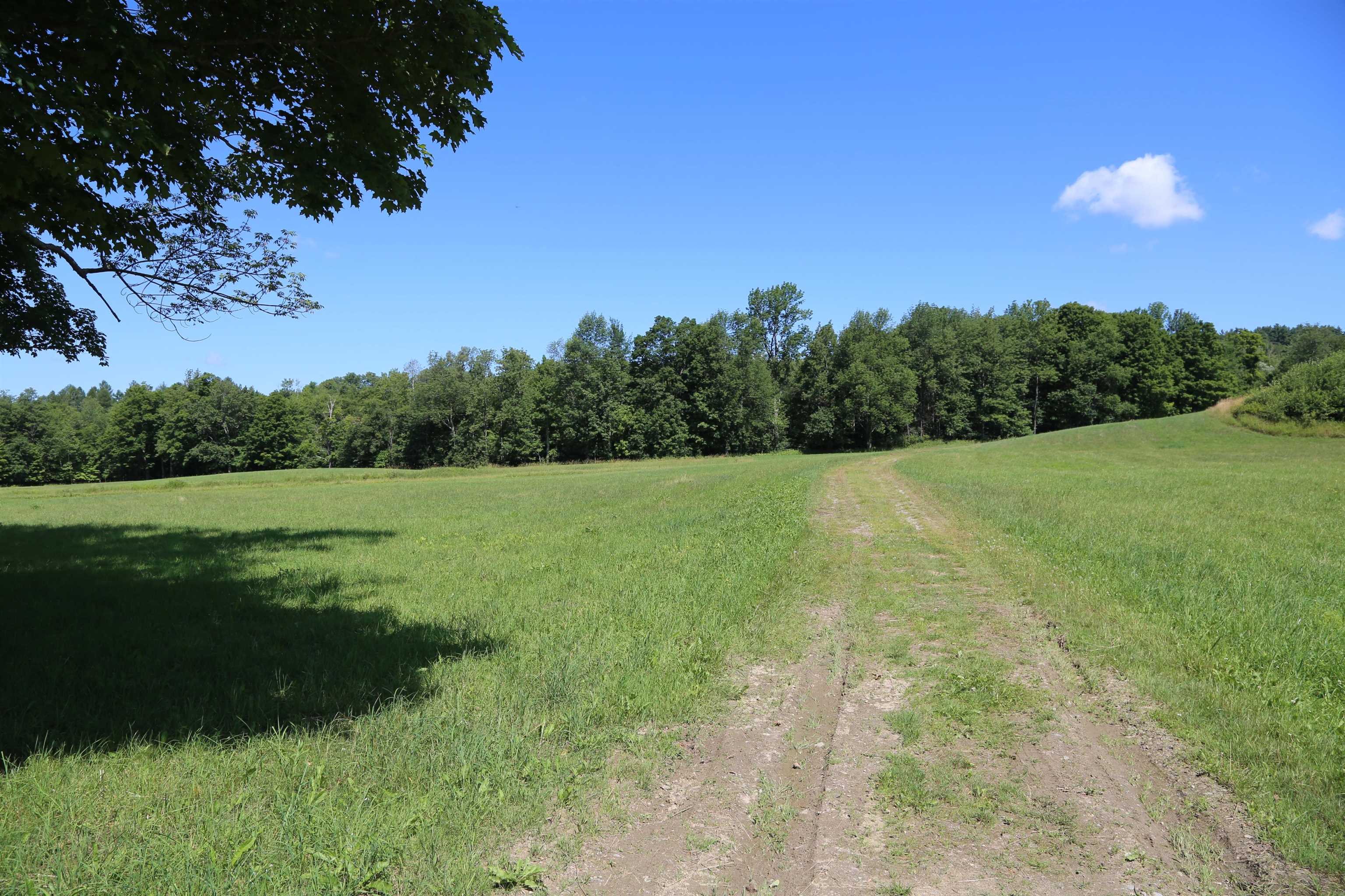 65 Stevensville Road