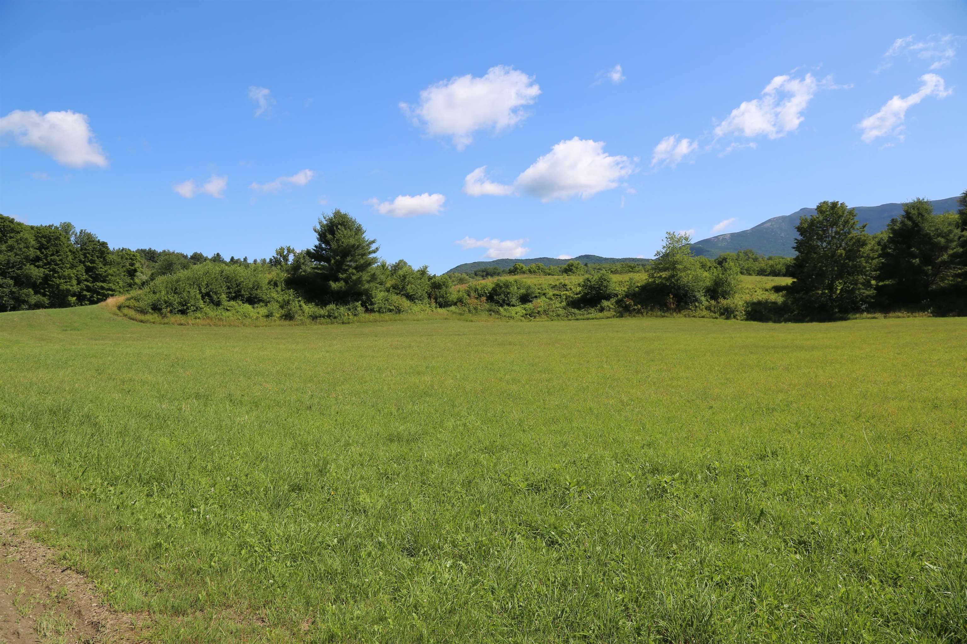 65 Stevensville Road