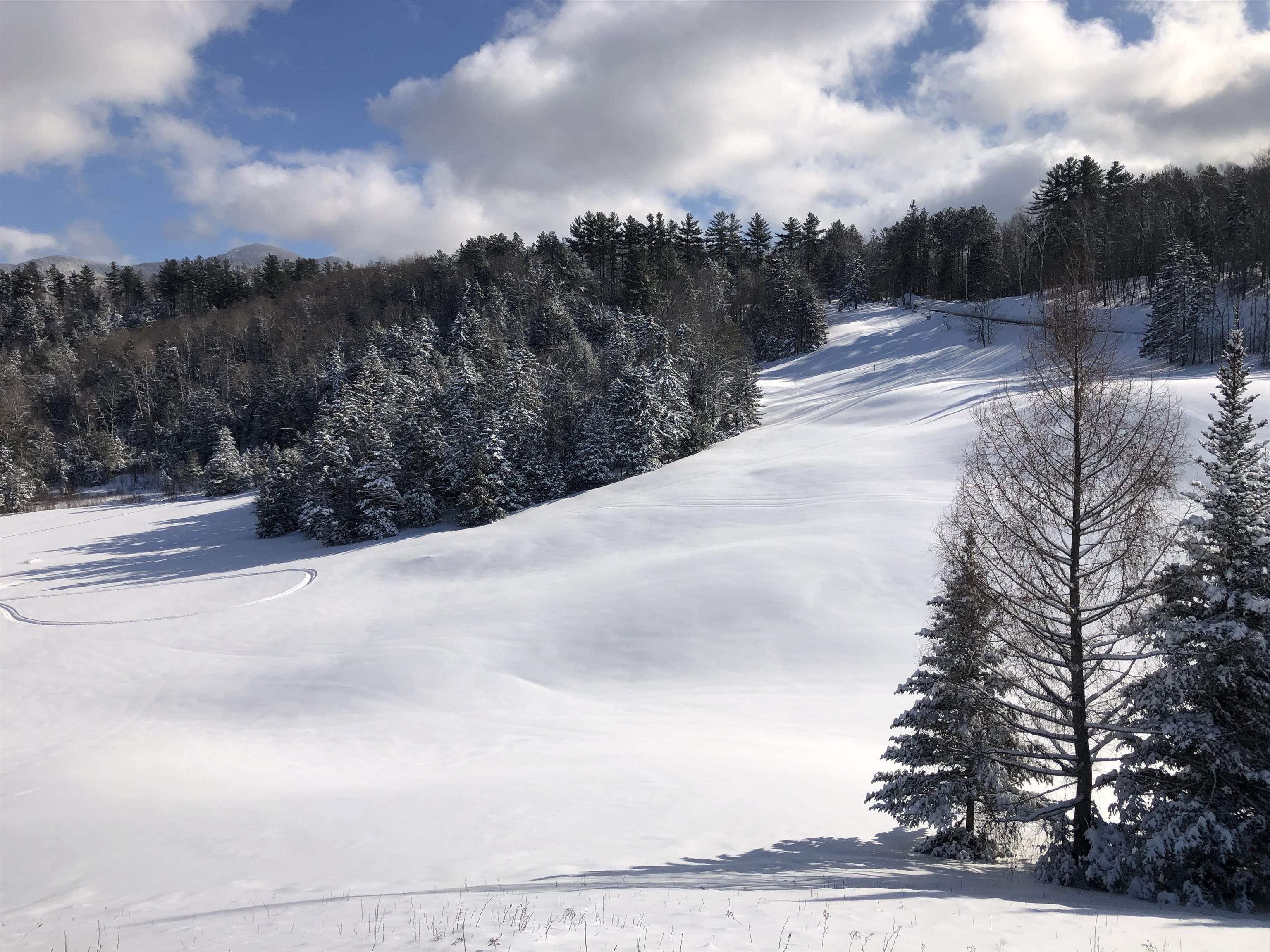 65 Stevensville Road