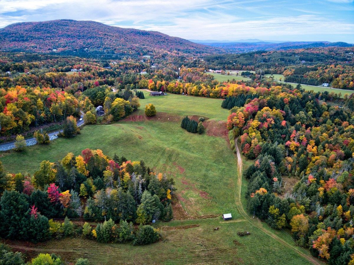 65 Stevensville Road