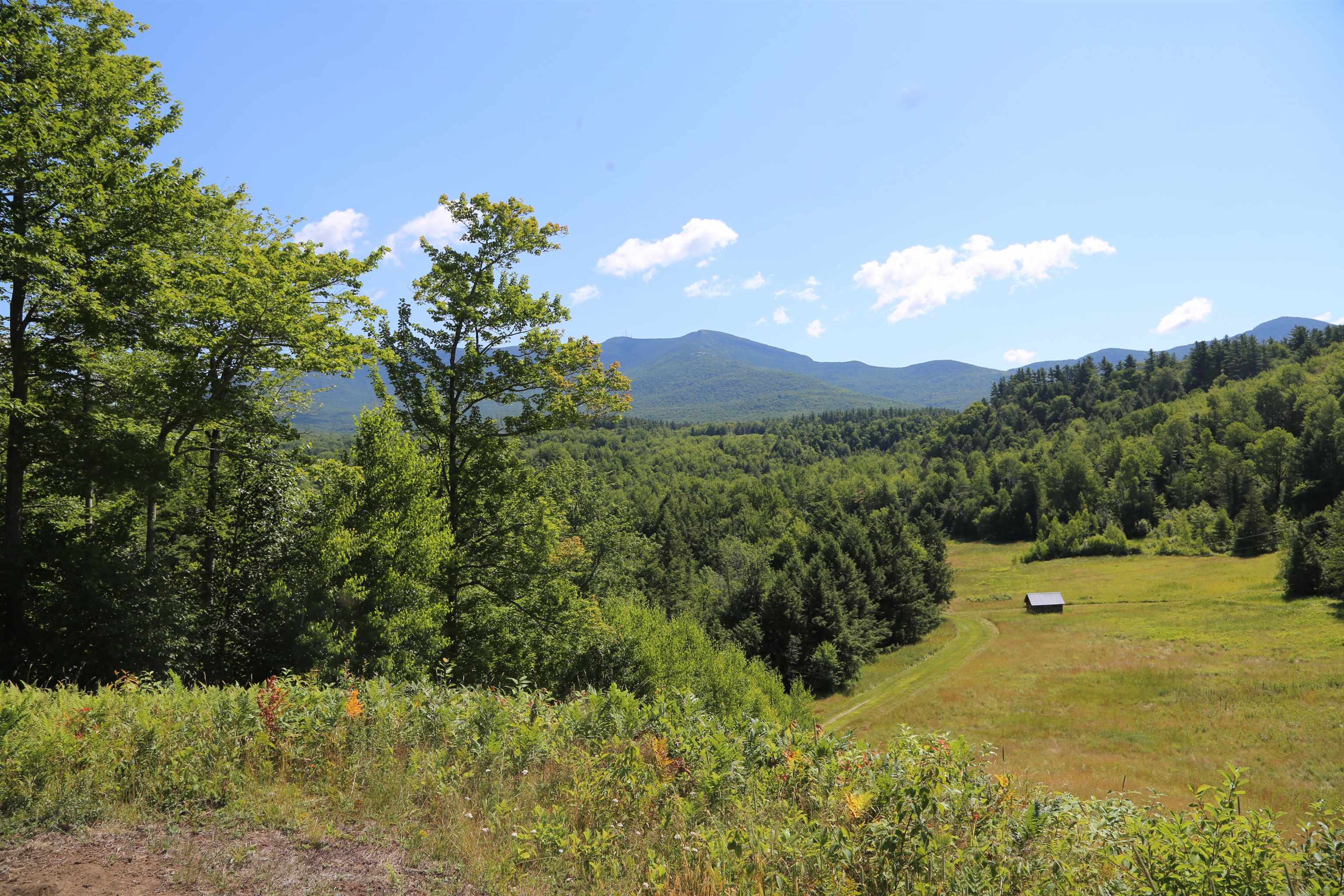 65 Stevensville Road