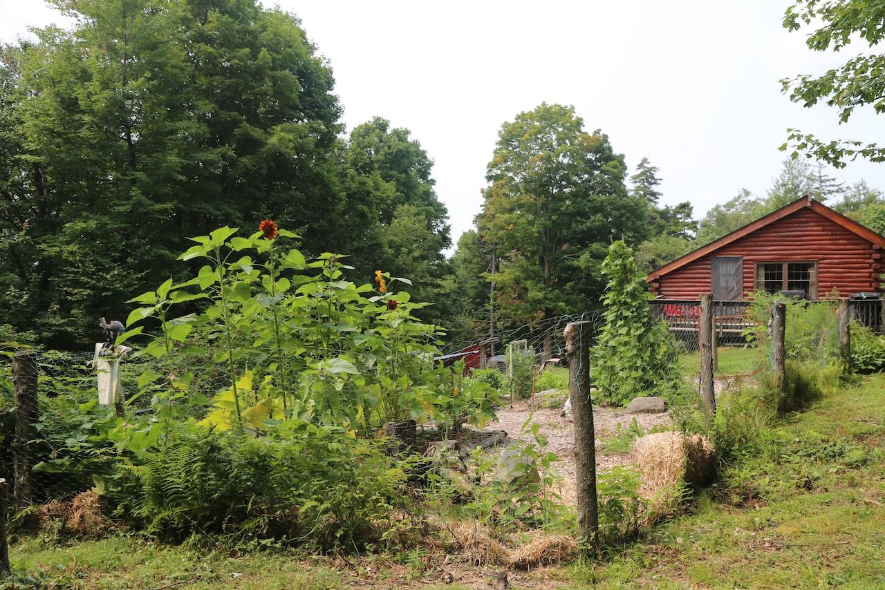 384 Smugglers View Road