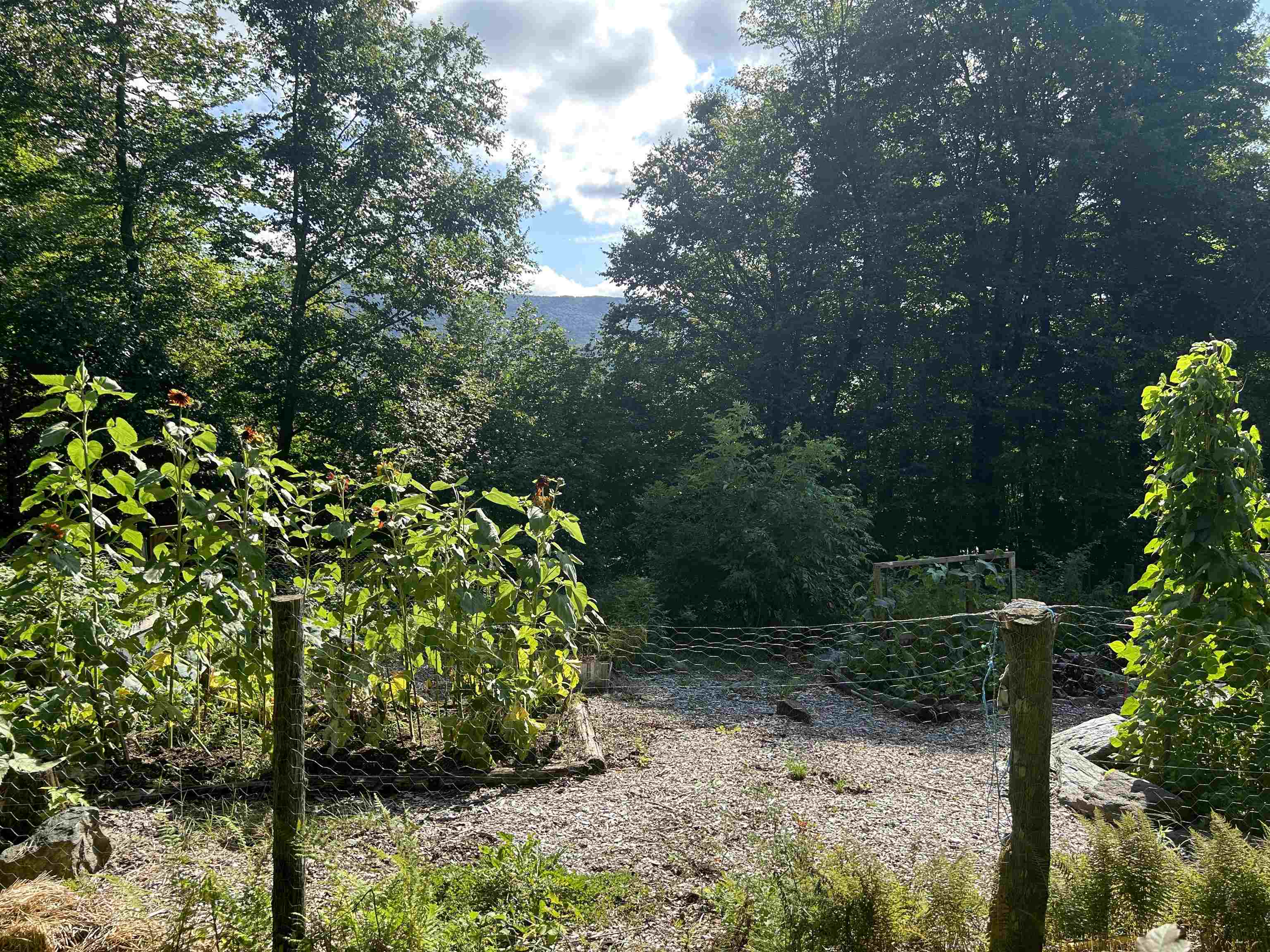 384 Smugglers View Road