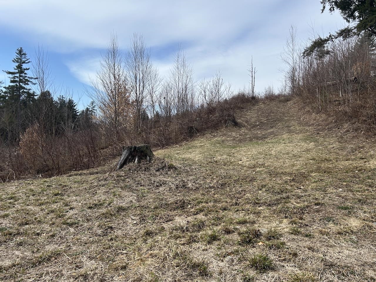 57 Falcon Ridge Drive