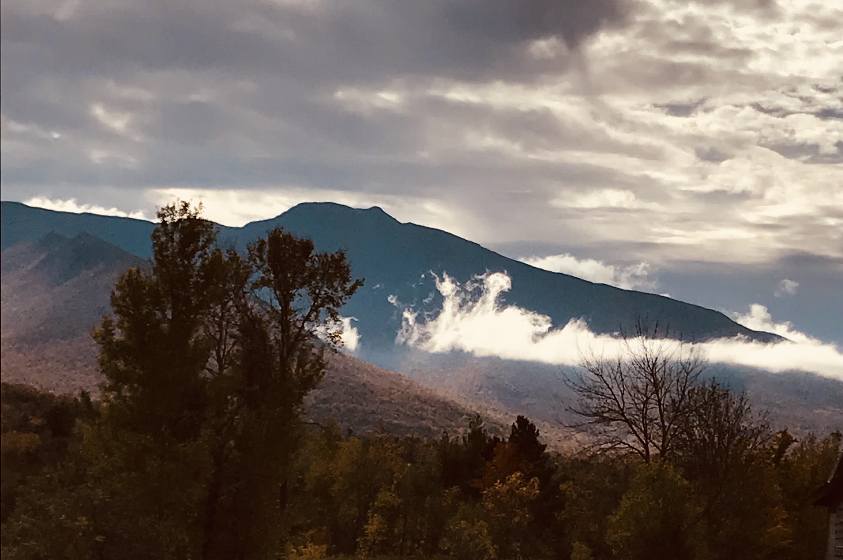 3308 Lower Pleasant Valley Road