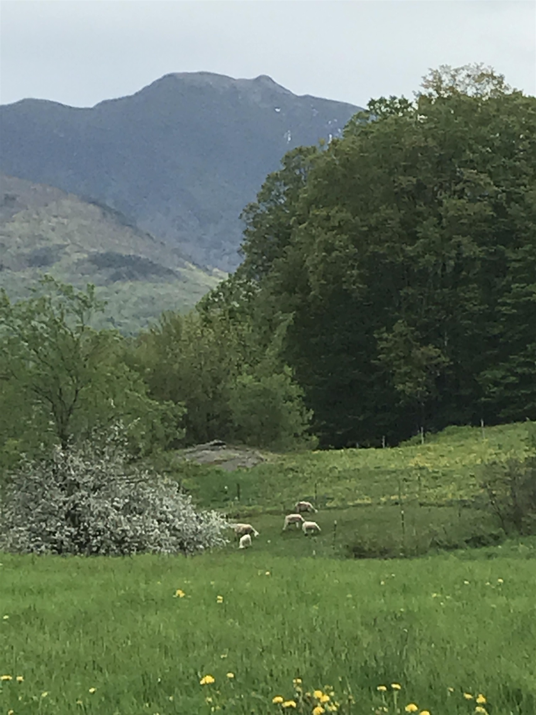 3308 Lower Pleasant Valley Road