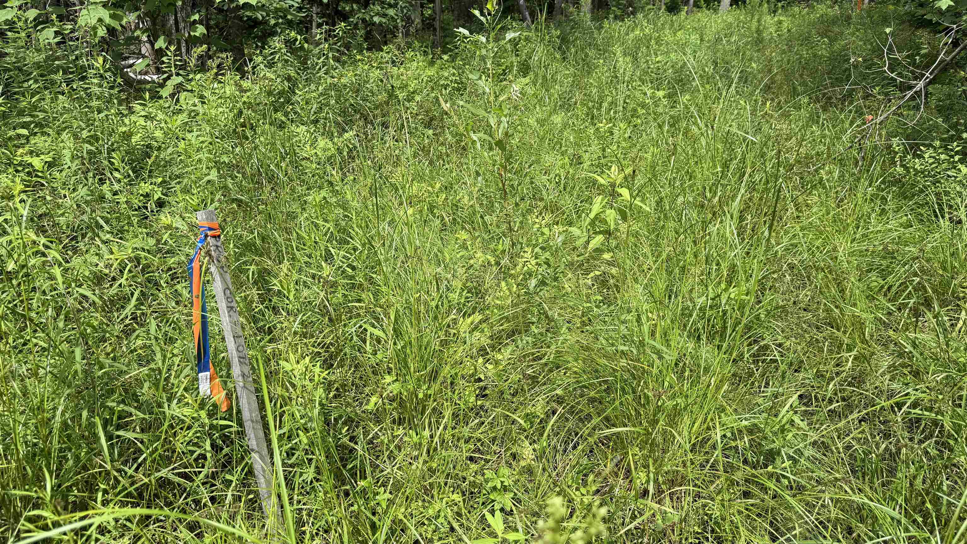 1386 Clif Reynolds Road