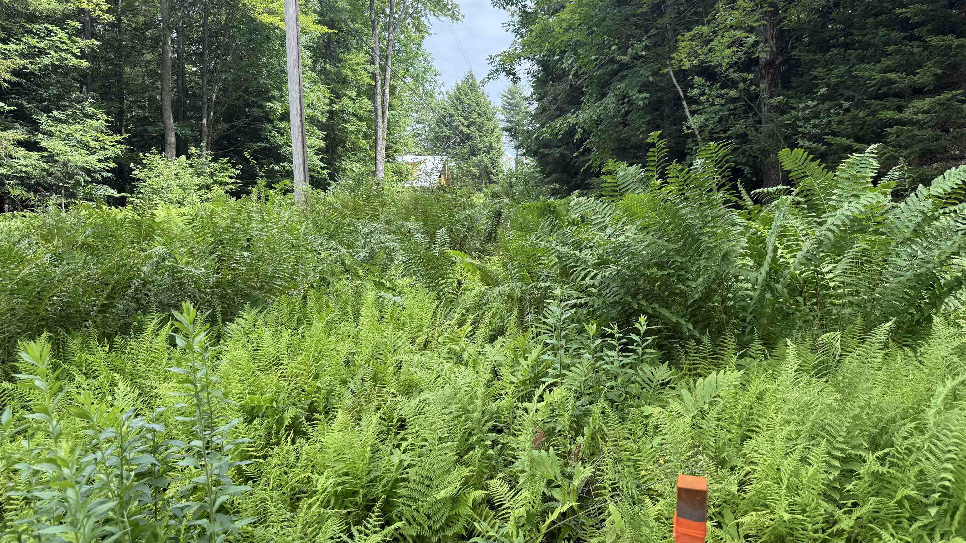 1386 Clif Reynolds Road