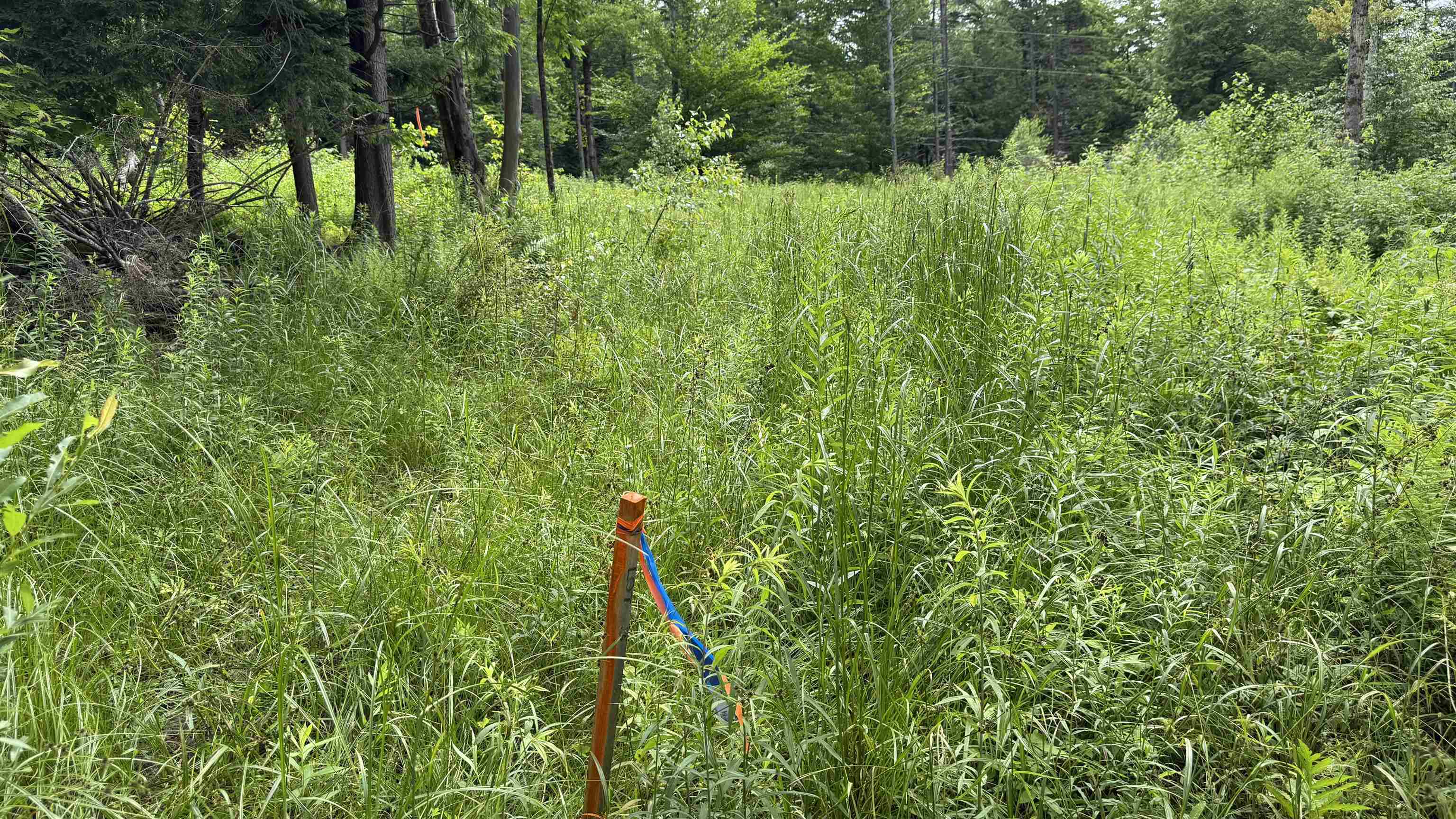 1386 Clif Reynolds Road