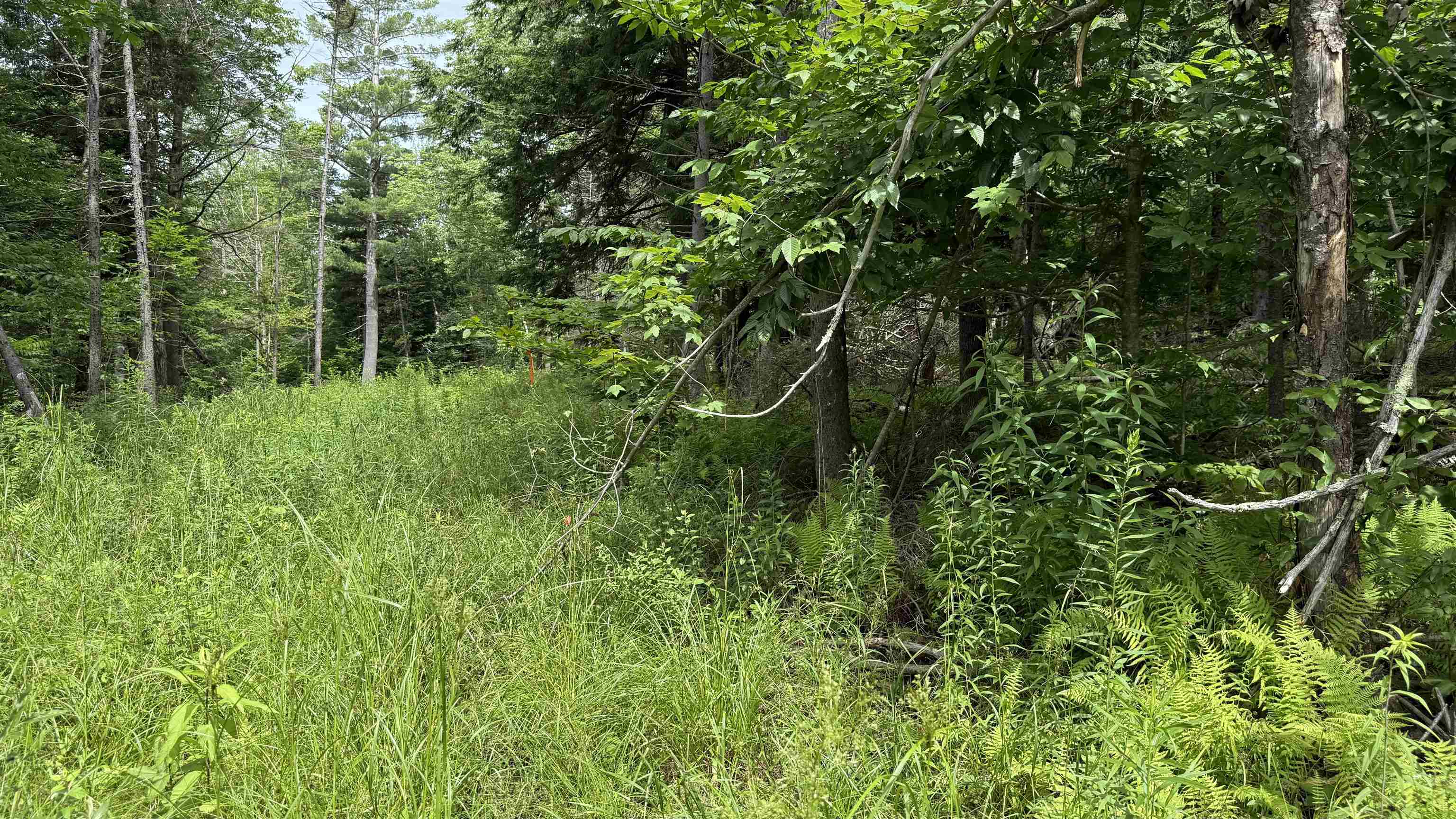 1386 Clif Reynolds Road