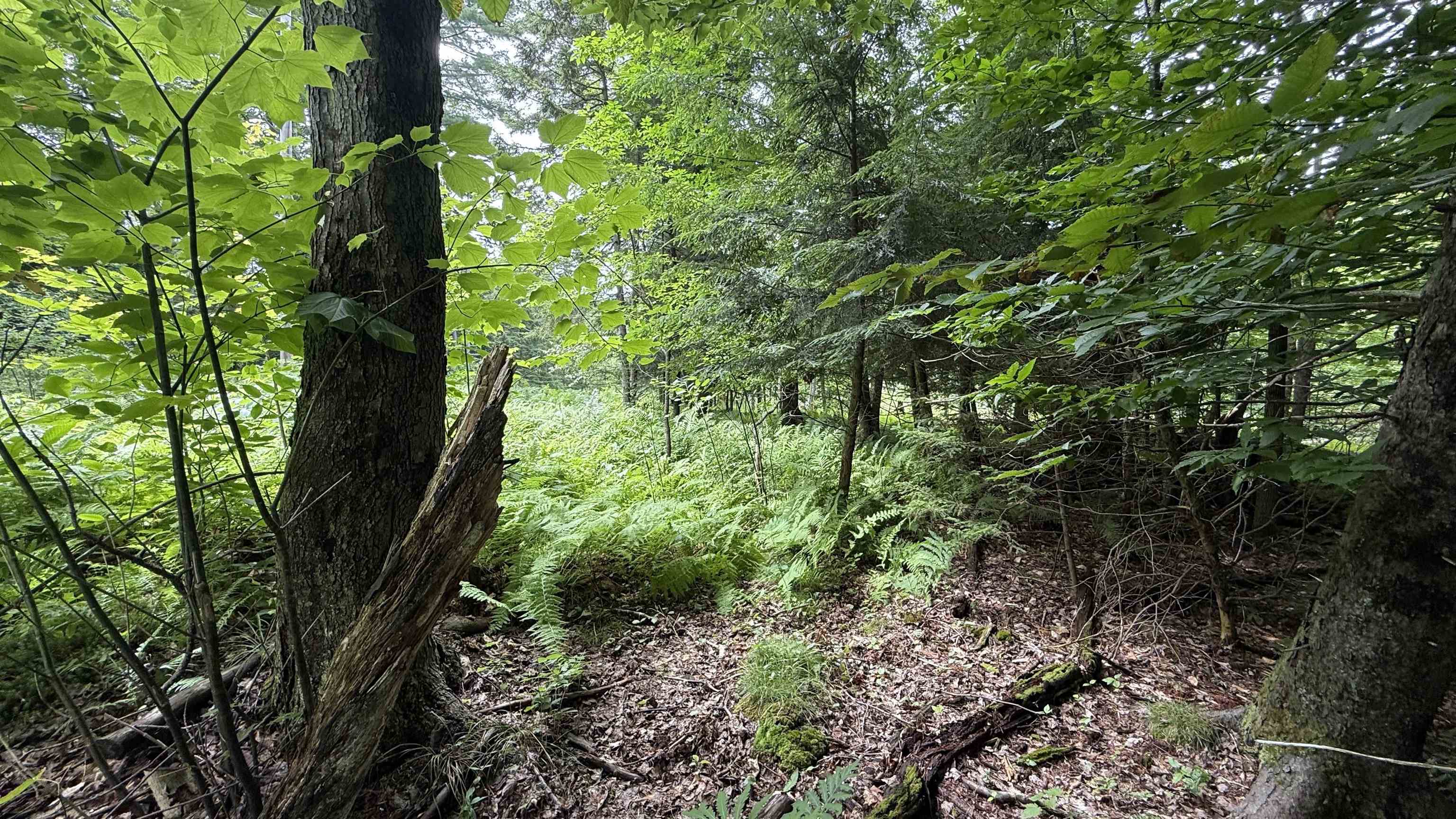 1386 Clif Reynolds Road