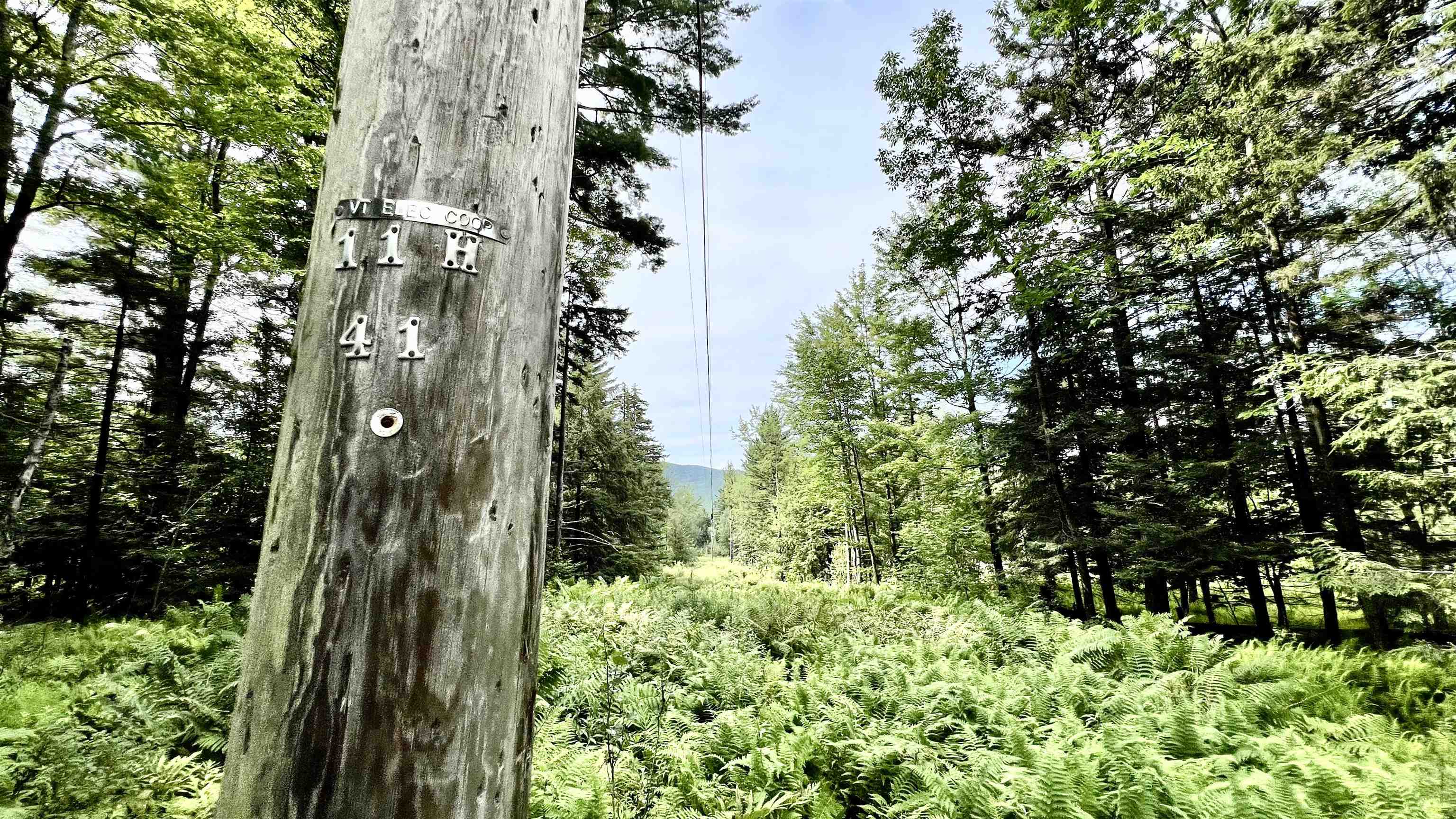 1386 Clif Reynolds Road