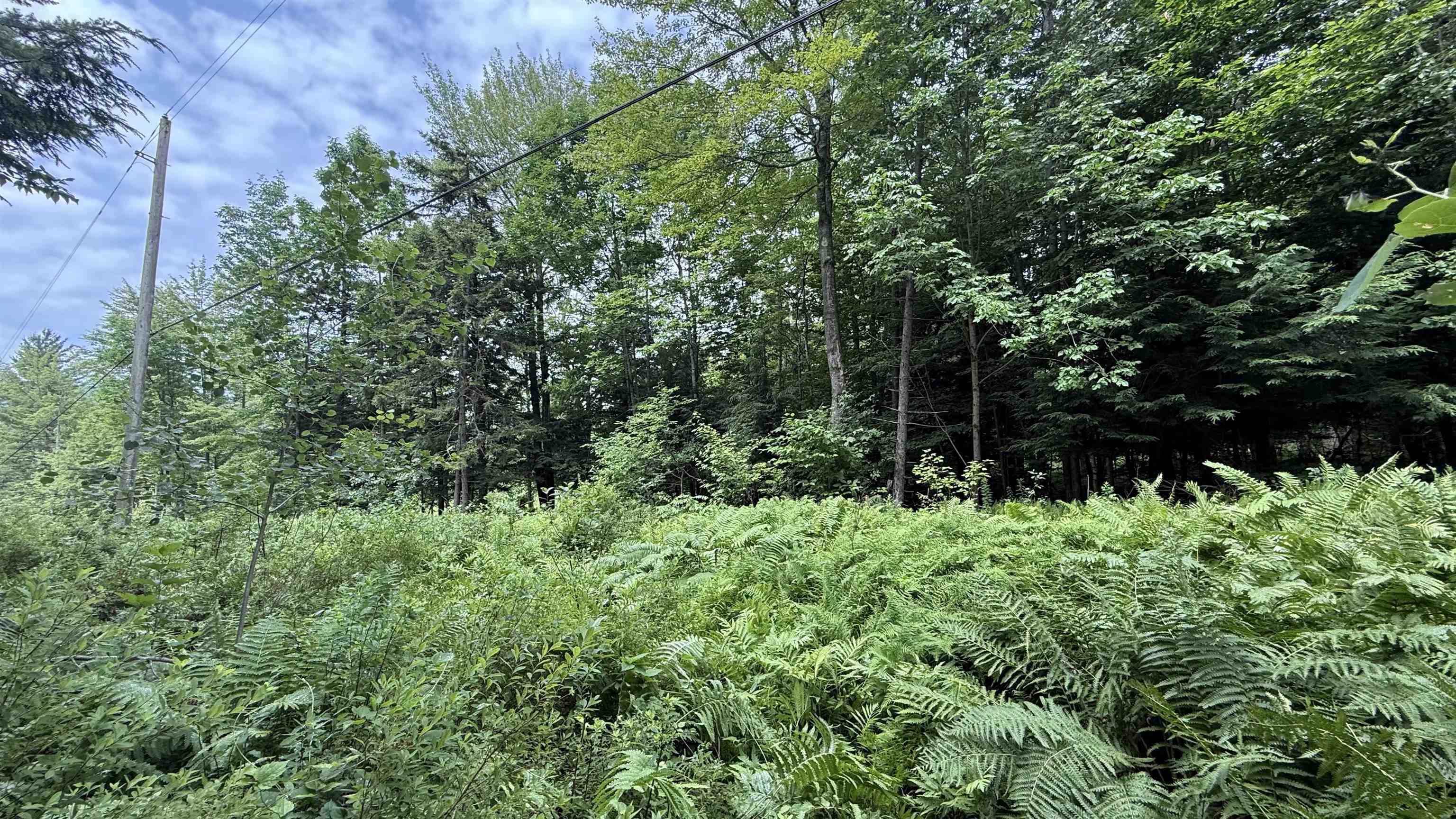 1386 Clif Reynolds Road