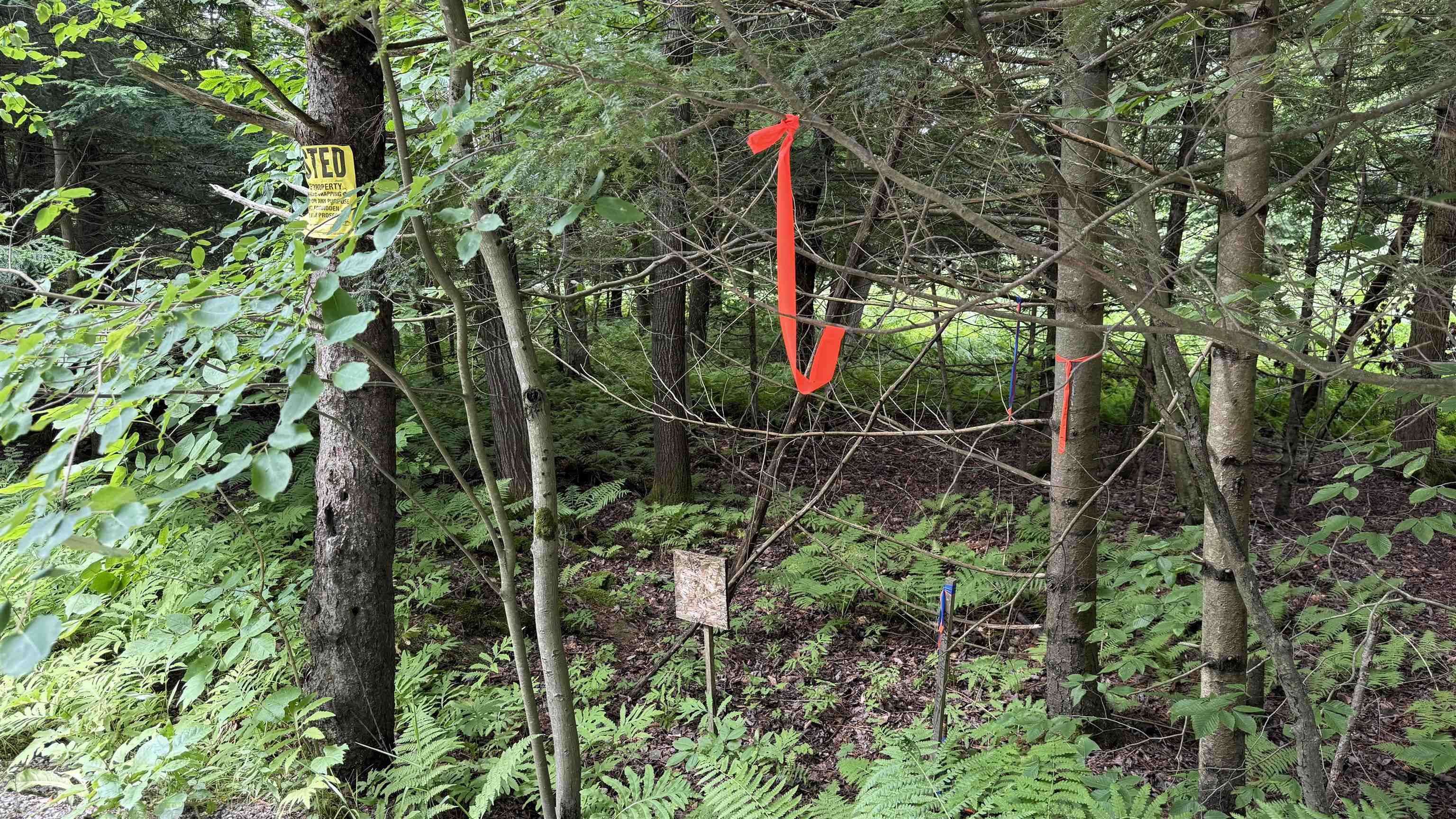 1386 Clif Reynolds Road