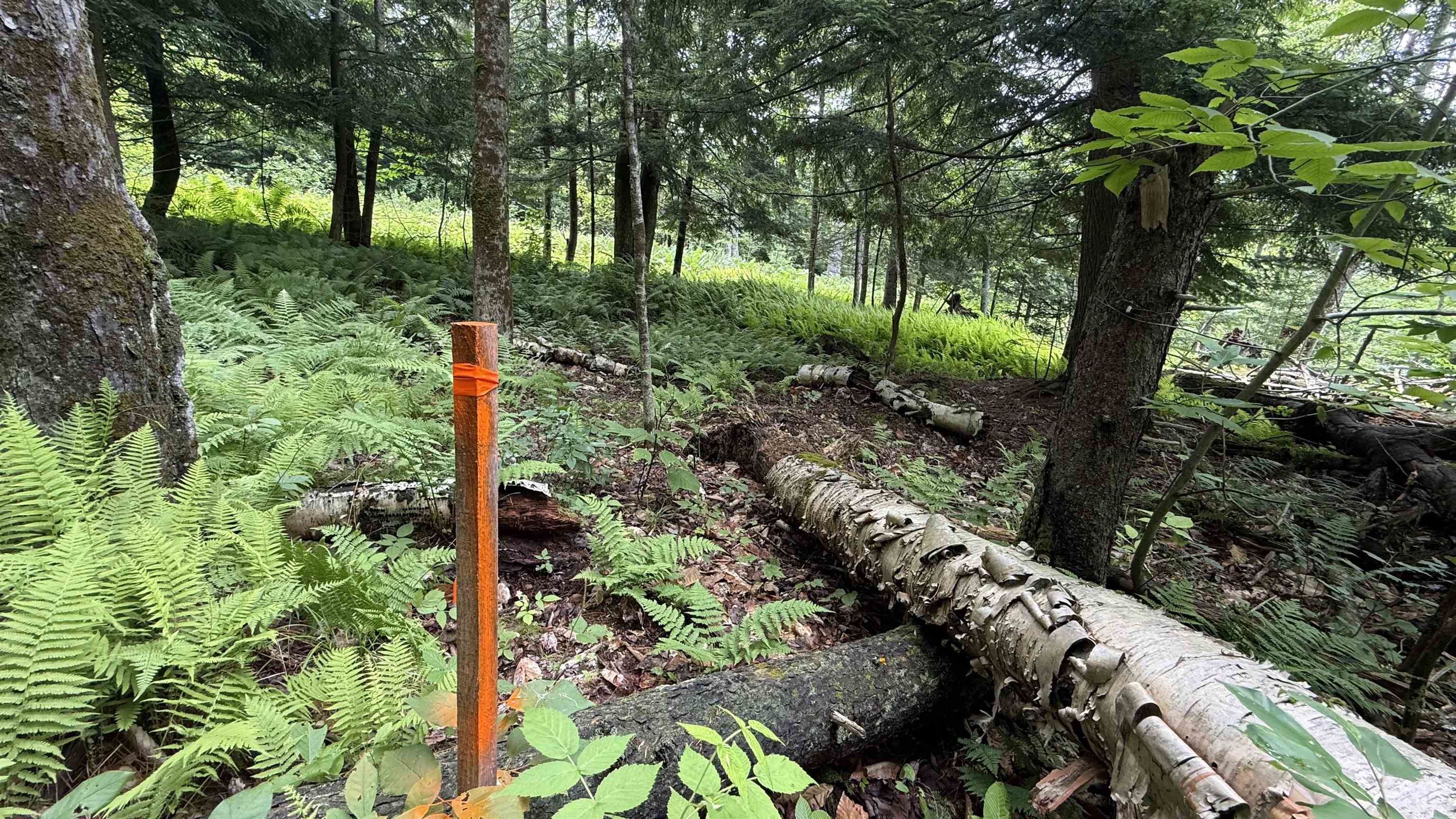 1386 Clif Reynolds Road