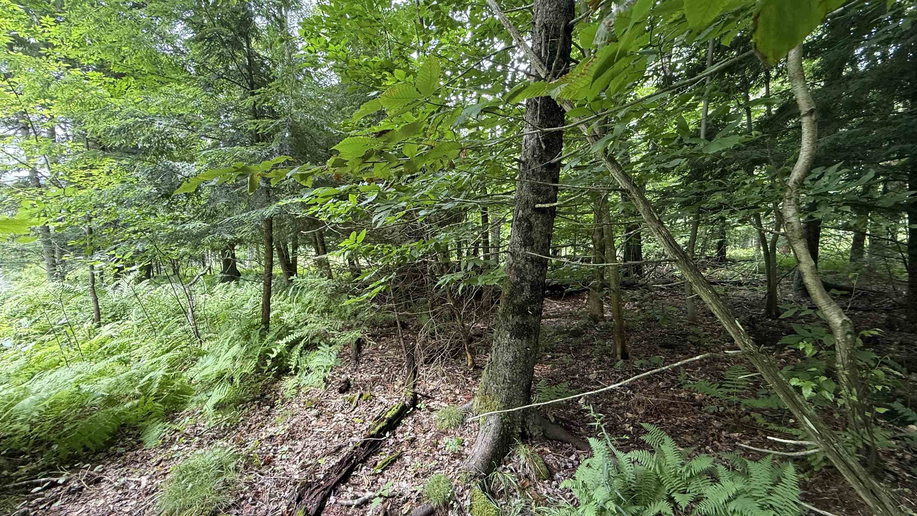 1386 Clif Reynolds Road