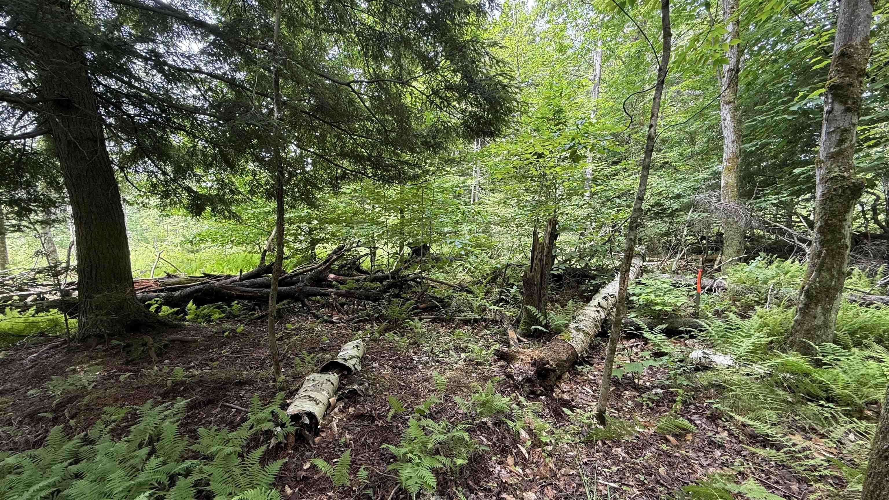 1386 Clif Reynolds Road