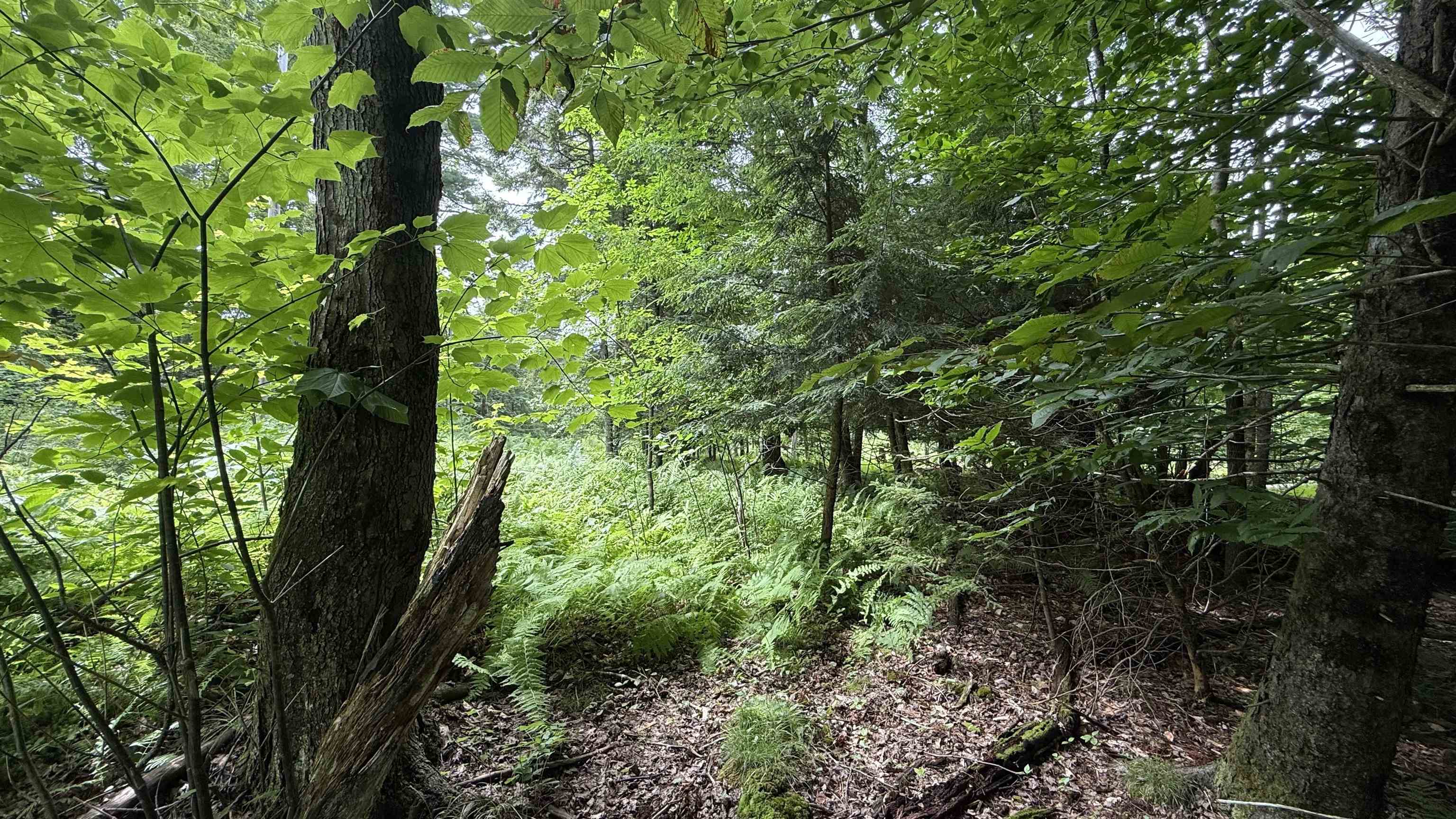 1386 Clif Reynolds Road