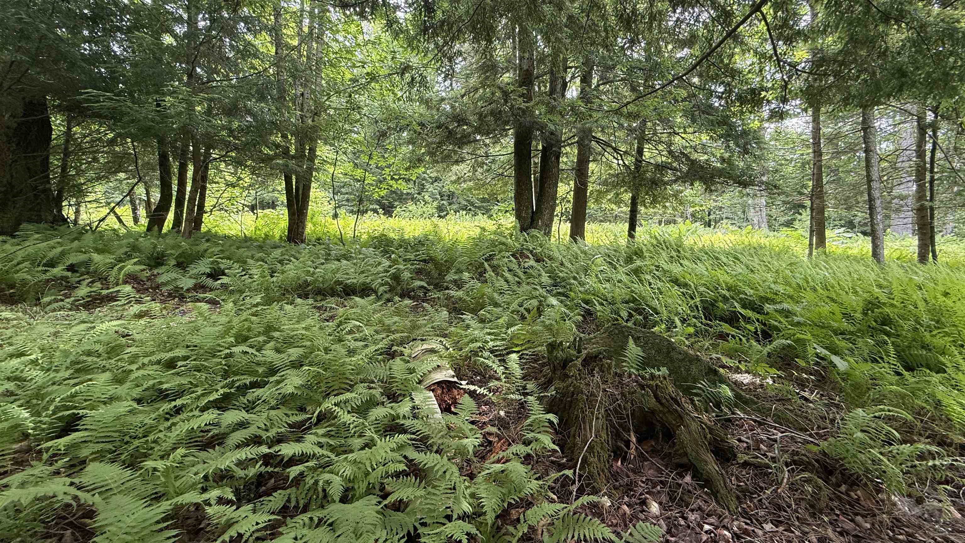 1386 Clif Reynolds Road