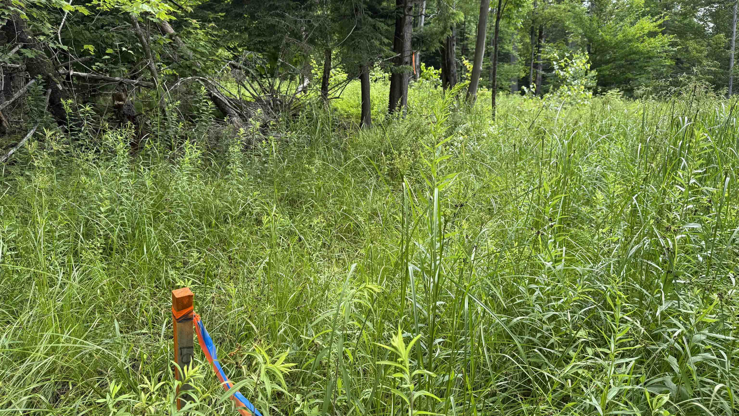 1386 Clif Reynolds Road