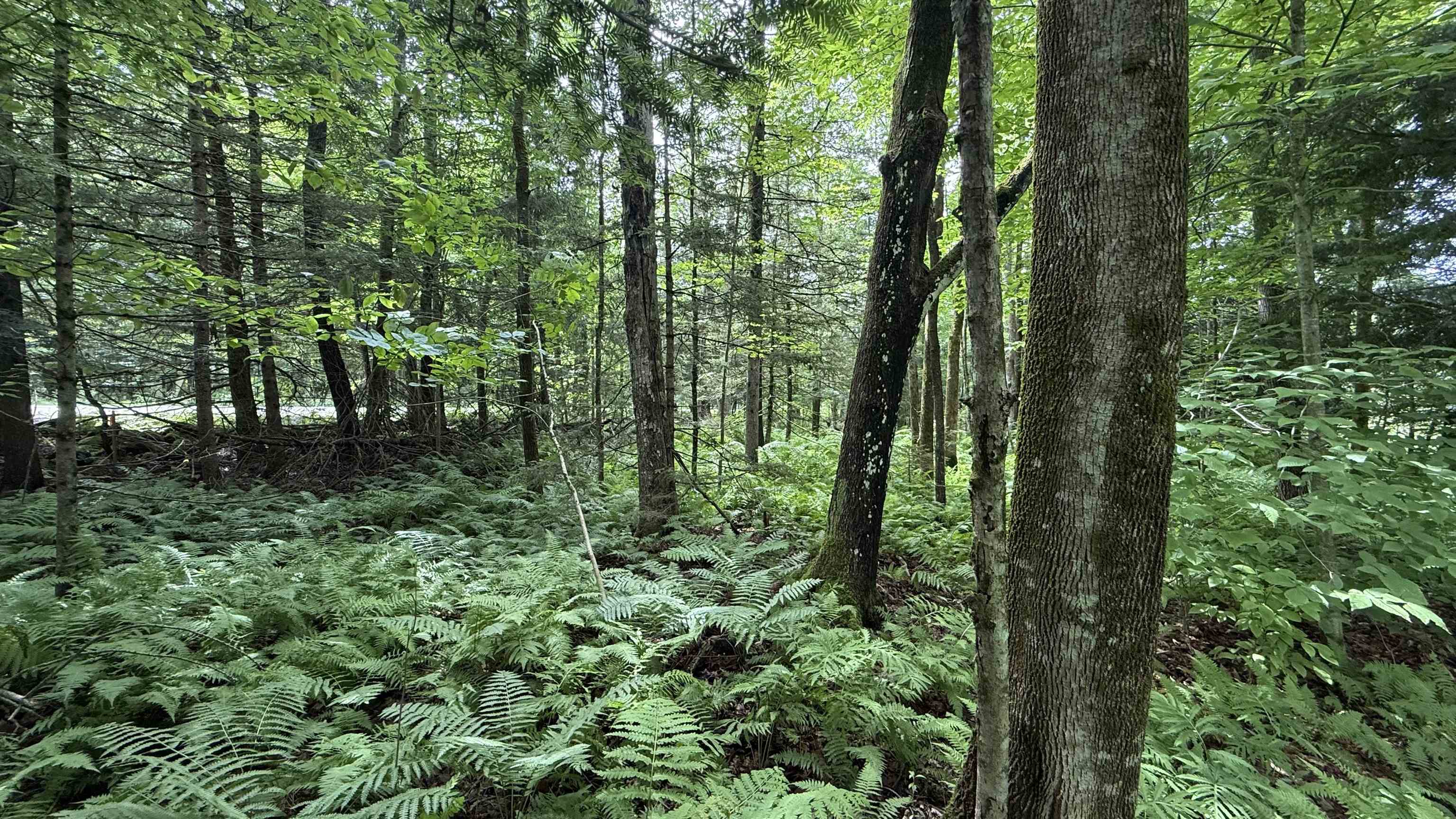 1386 Clif Reynolds Road