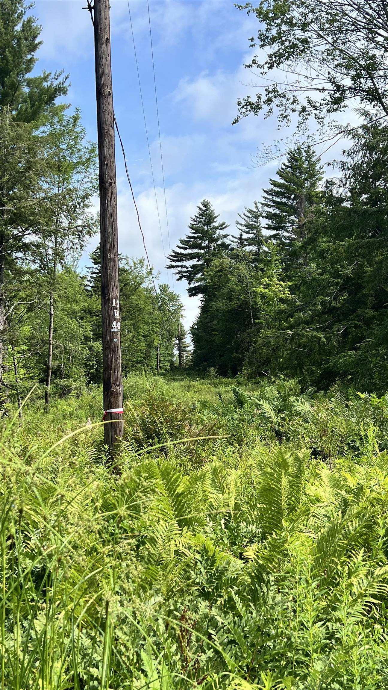 1386 Clif Reynolds Road