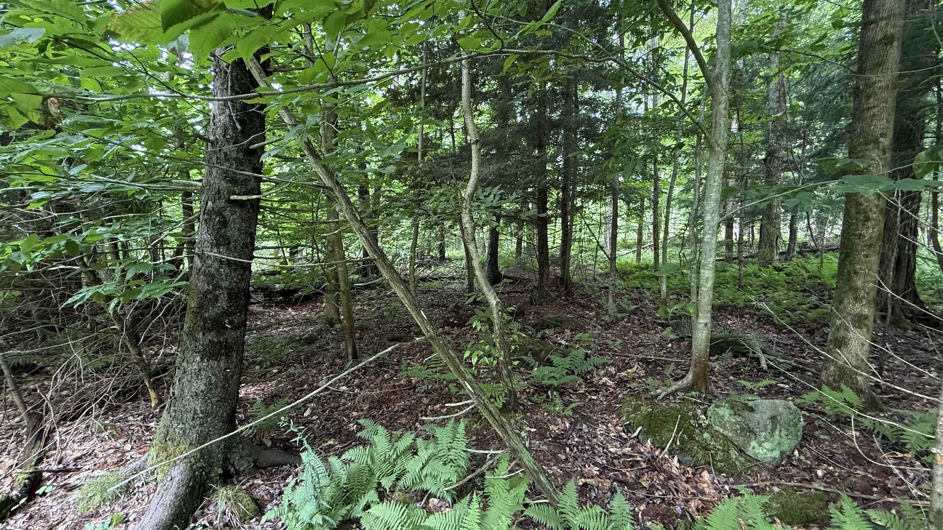 1386 Clif Reynolds Road