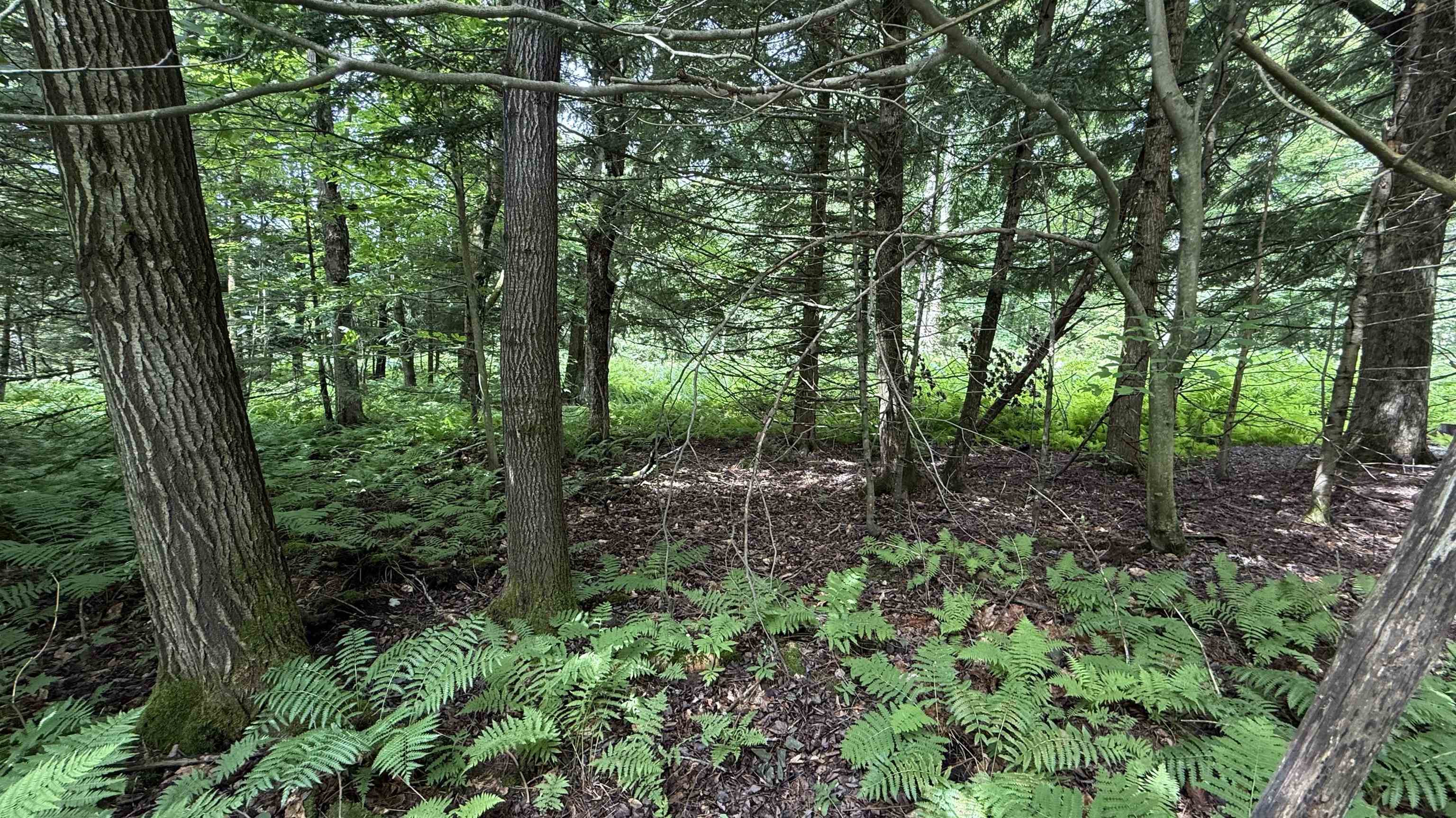 1386 Clif Reynolds Road