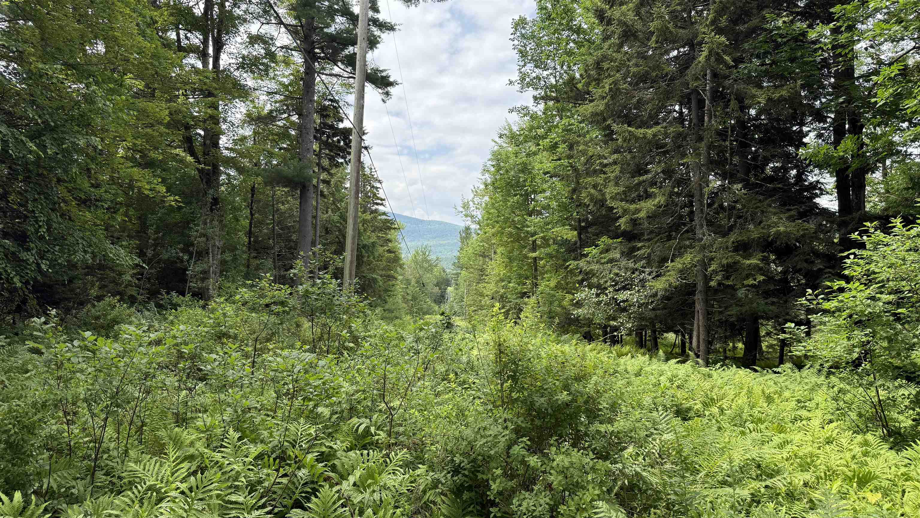 1386 Clif Reynolds Road