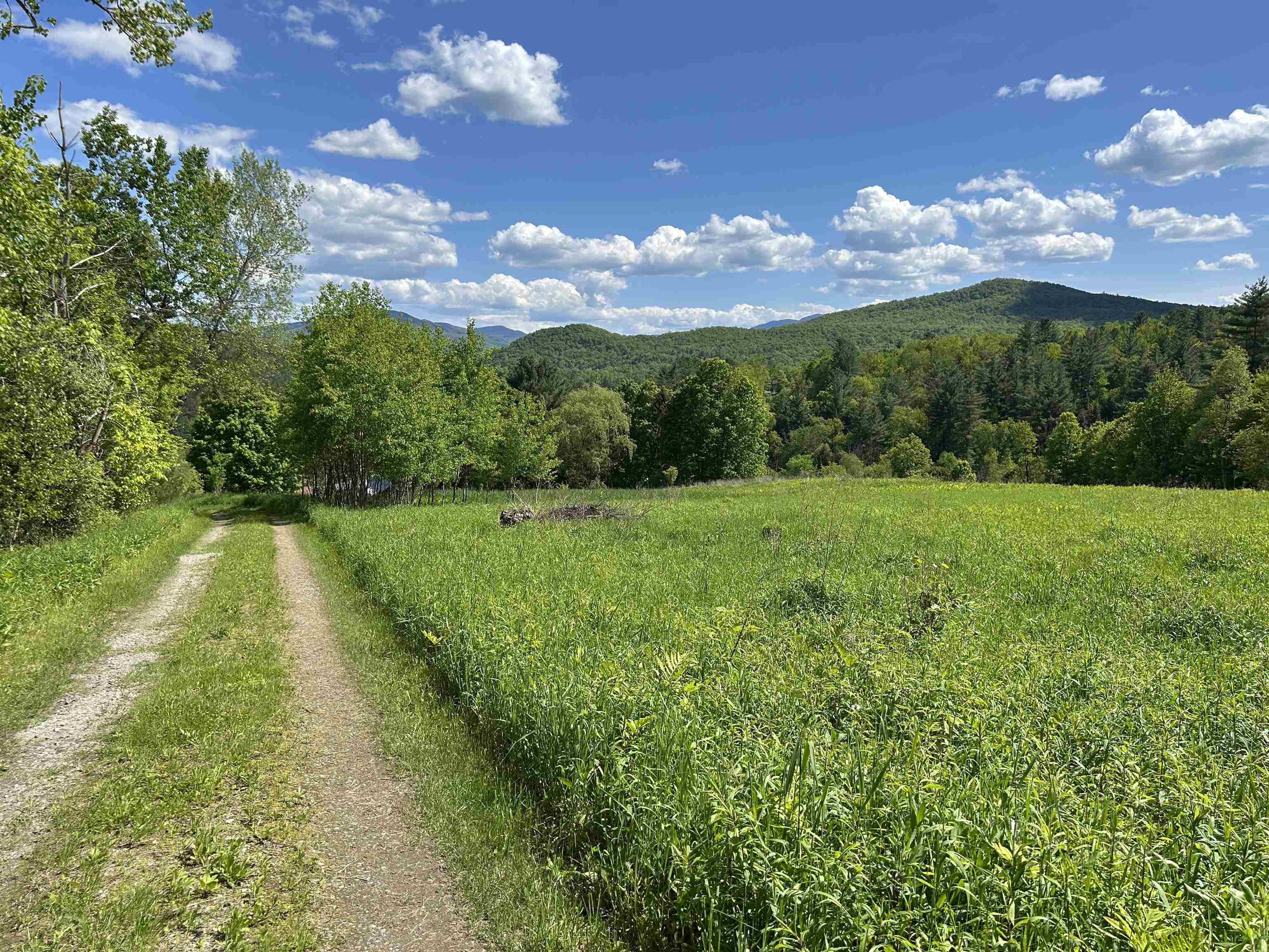 3705 N Cambridge Road