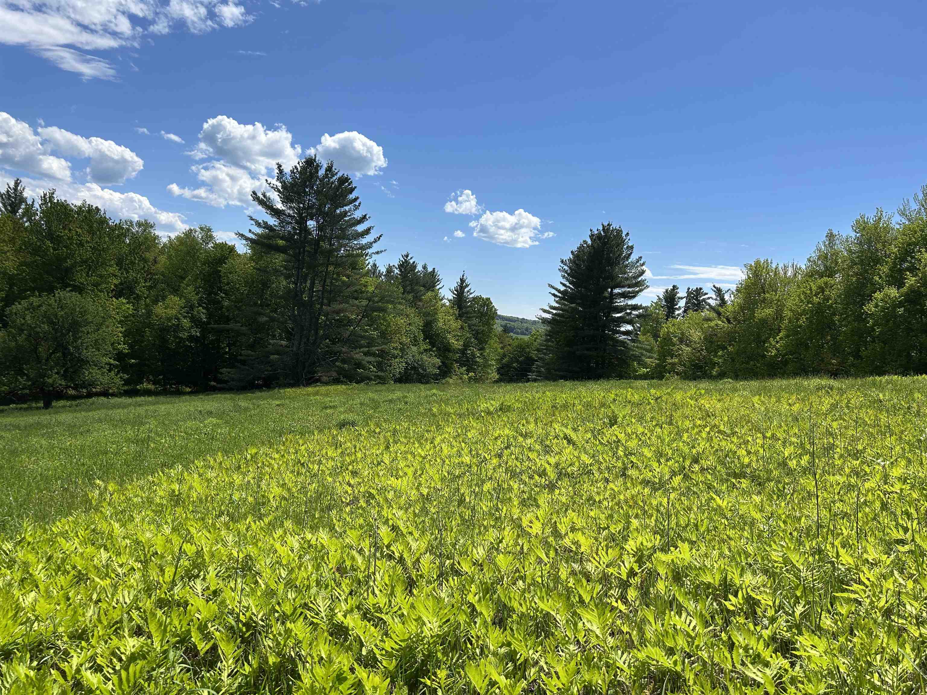 3705 N Cambridge Road