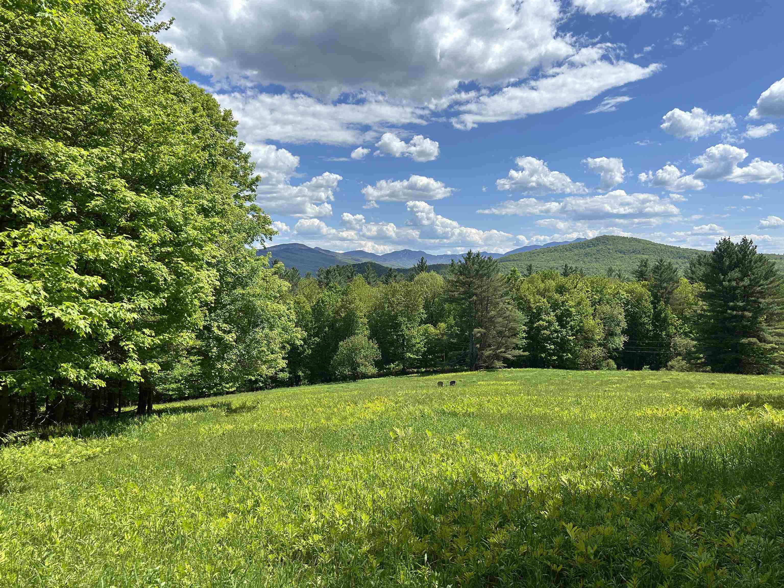 3705 N Cambridge Road