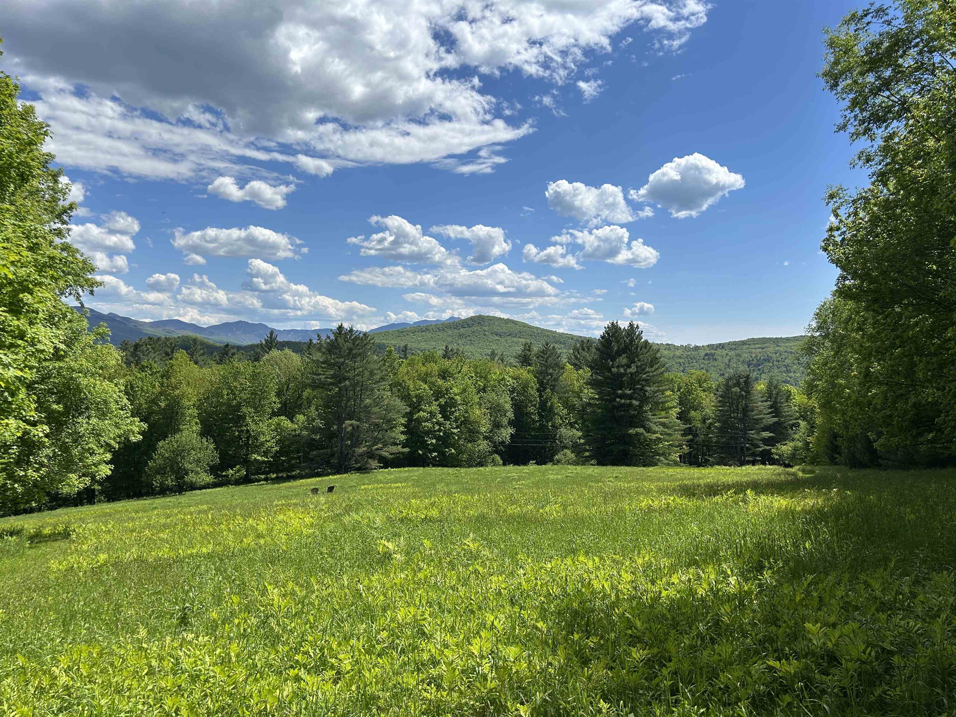 3705 N Cambridge Road