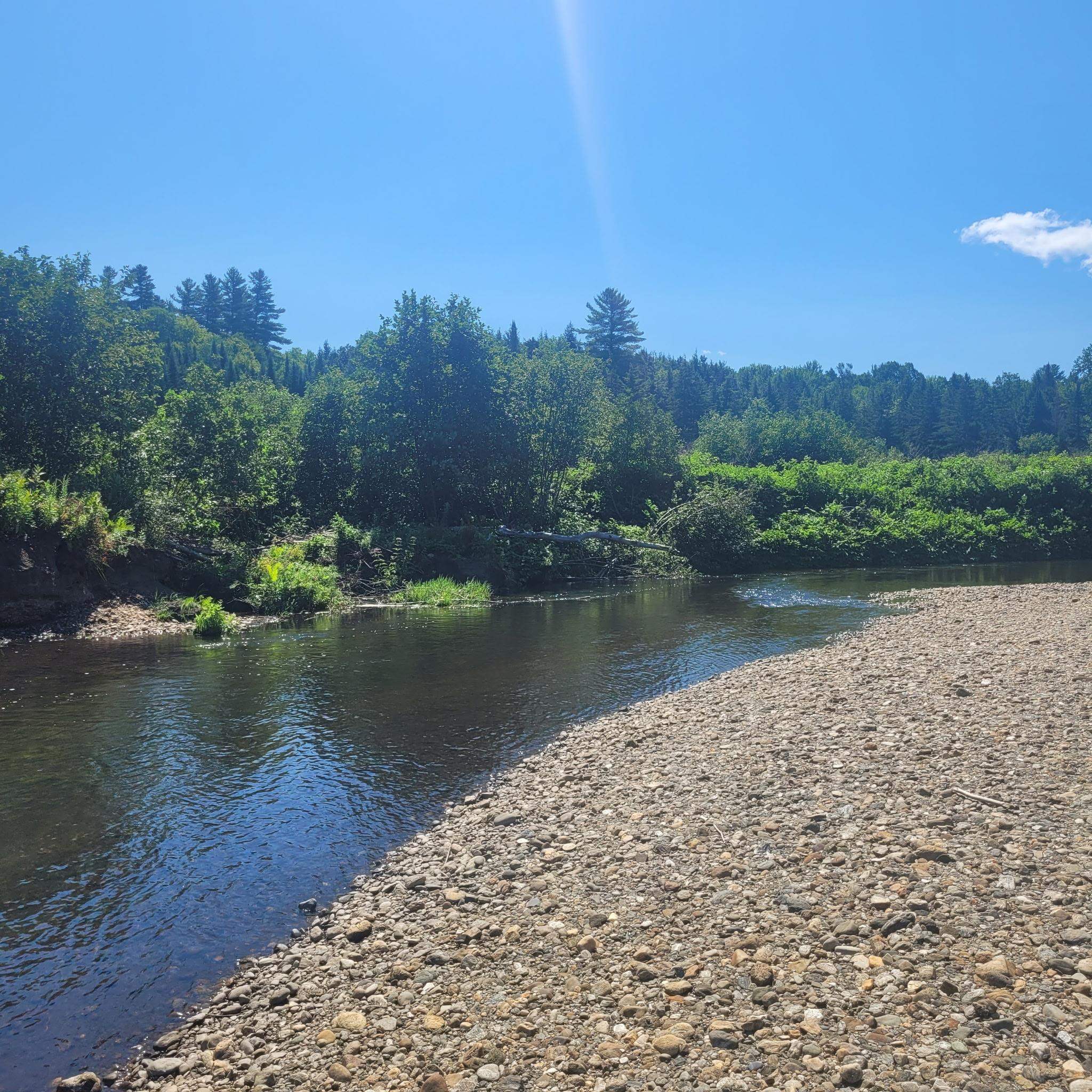102 River Bend Meadow Drive