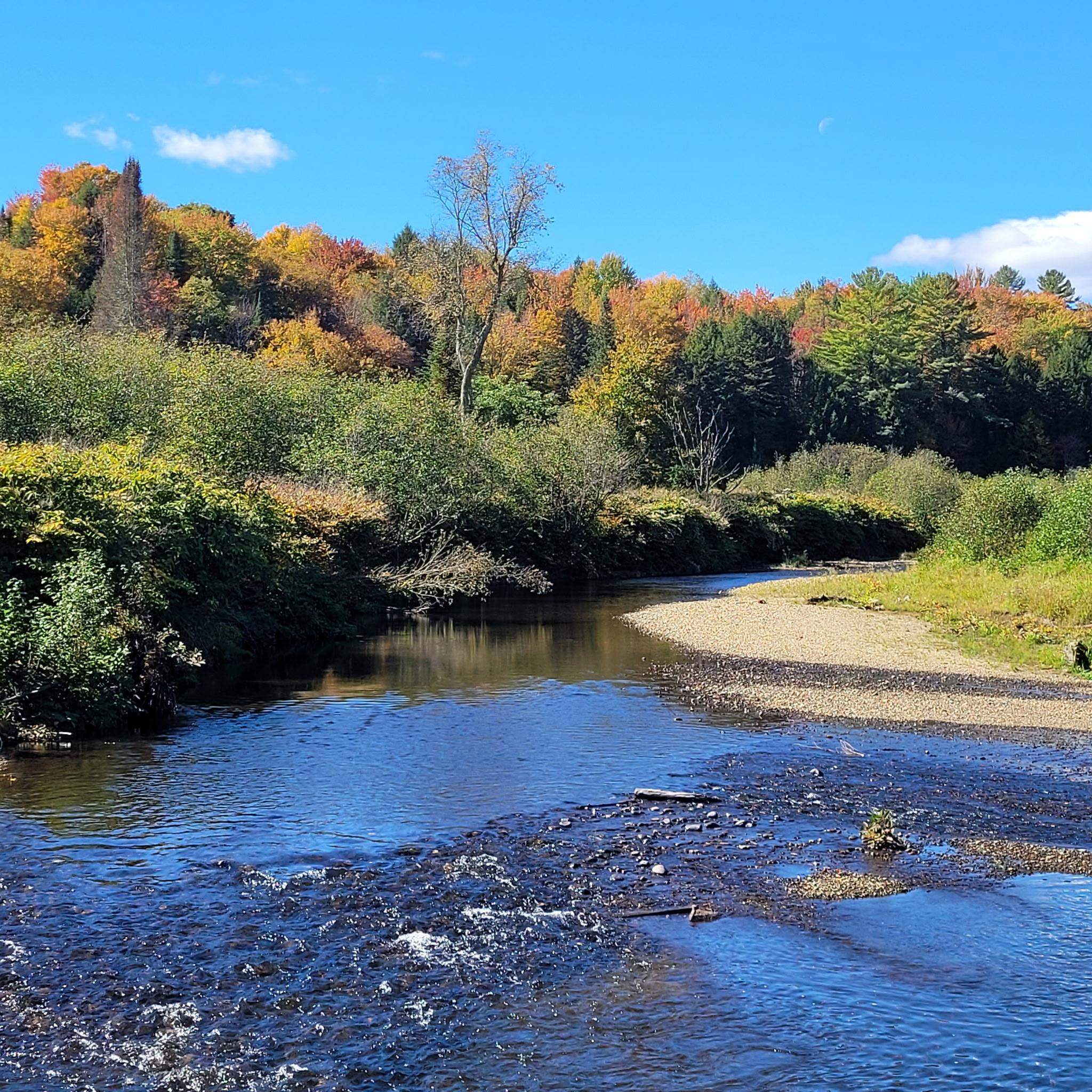 River curves past a pebbled bank and autumn-colored woodland.