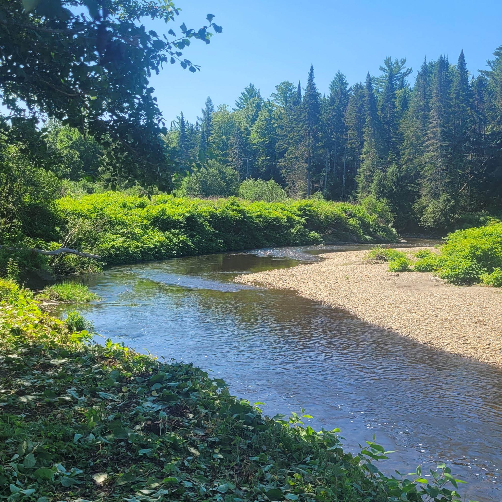 102 River Bend Meadow Drive