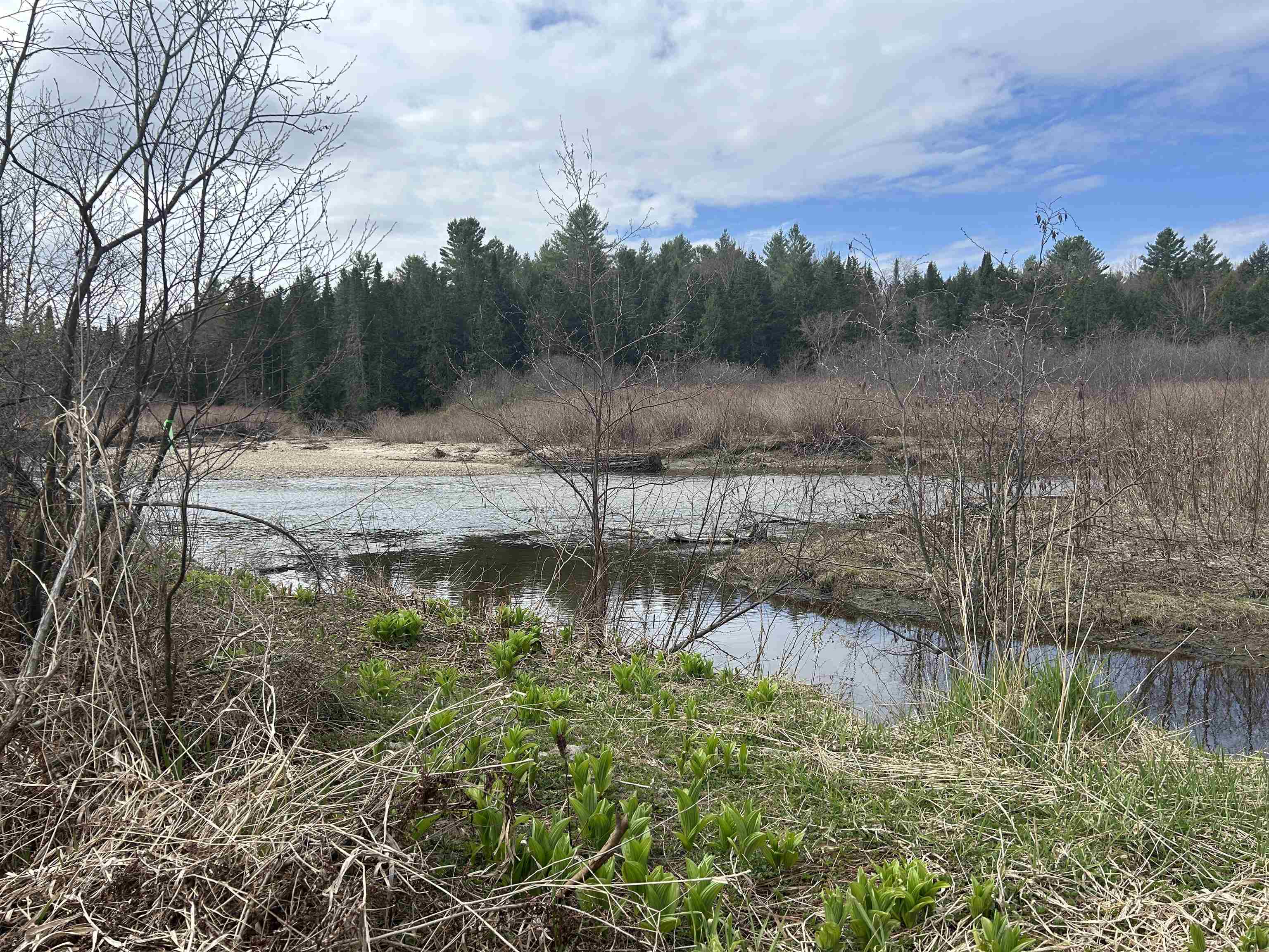102 River Bend Meadow Drive