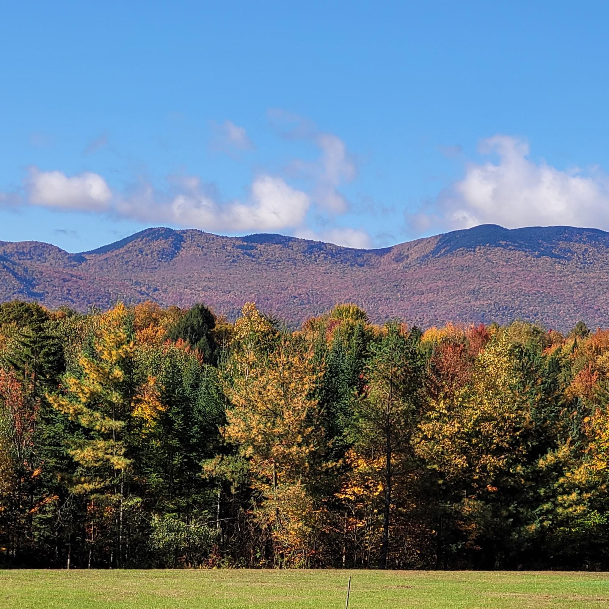 Autumn mountain view above a colorful forest and grassy meadow.
