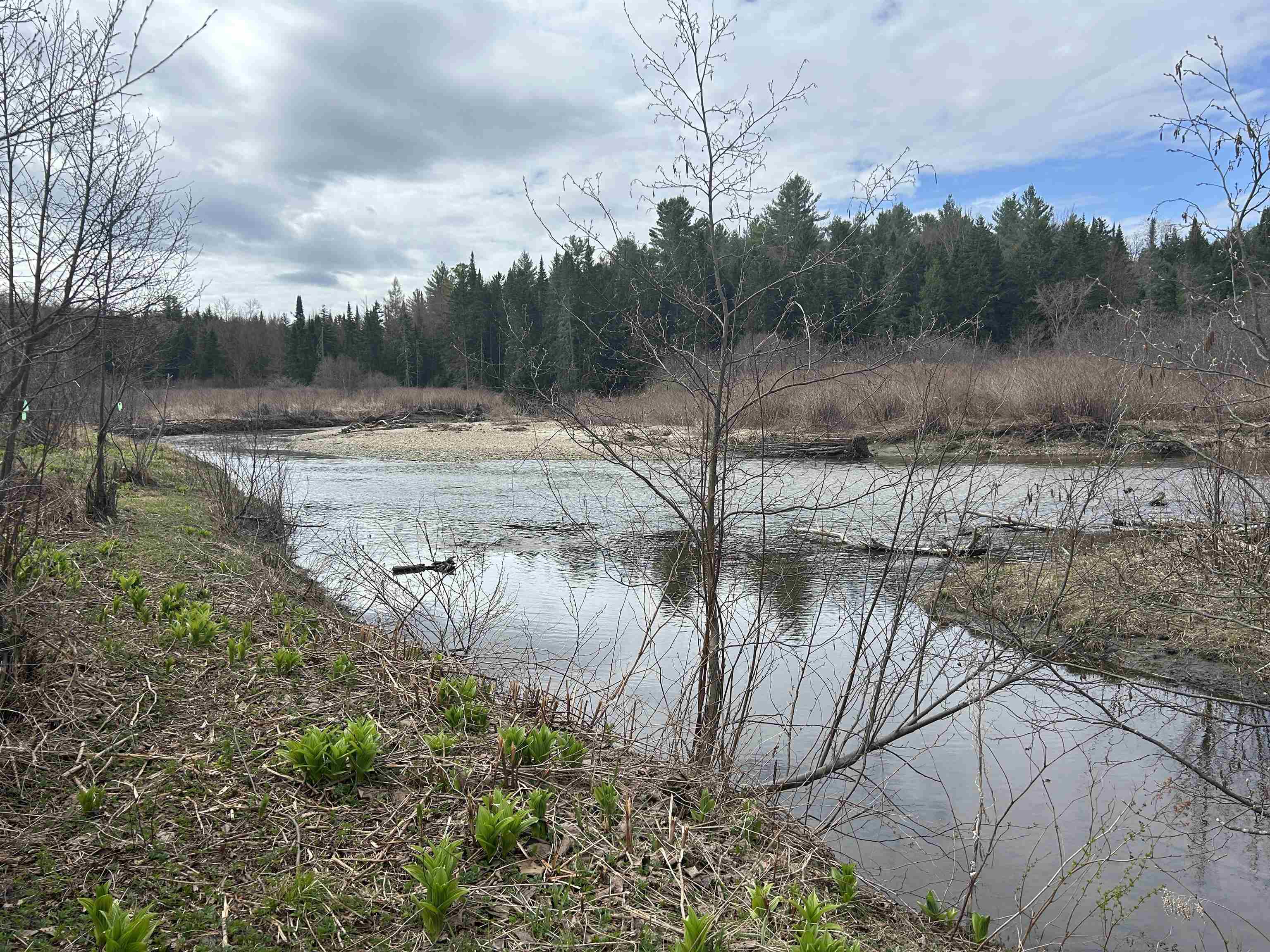 102 River Bend Meadow Drive