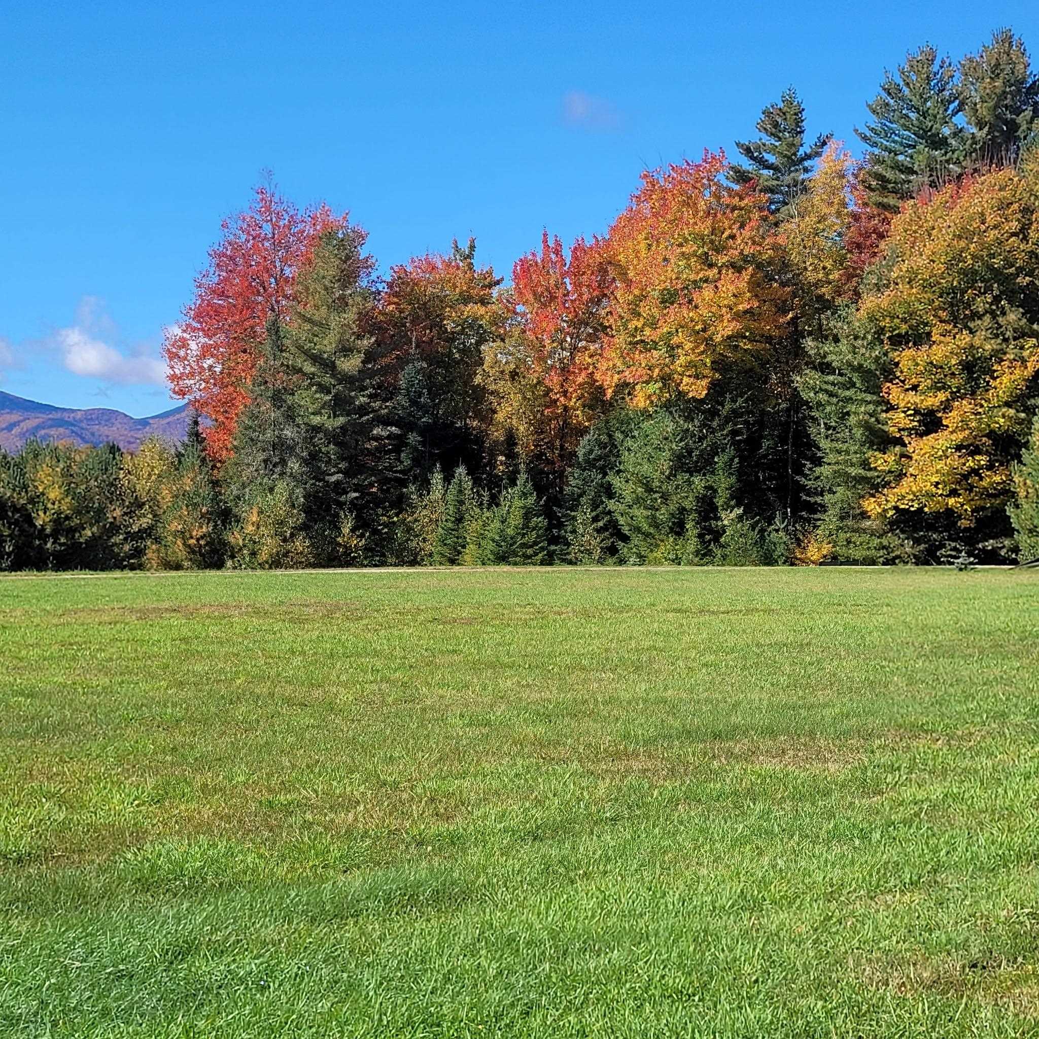 Open grassy field bordered by colorful autumn trees, with a mountain ridge in the distance.