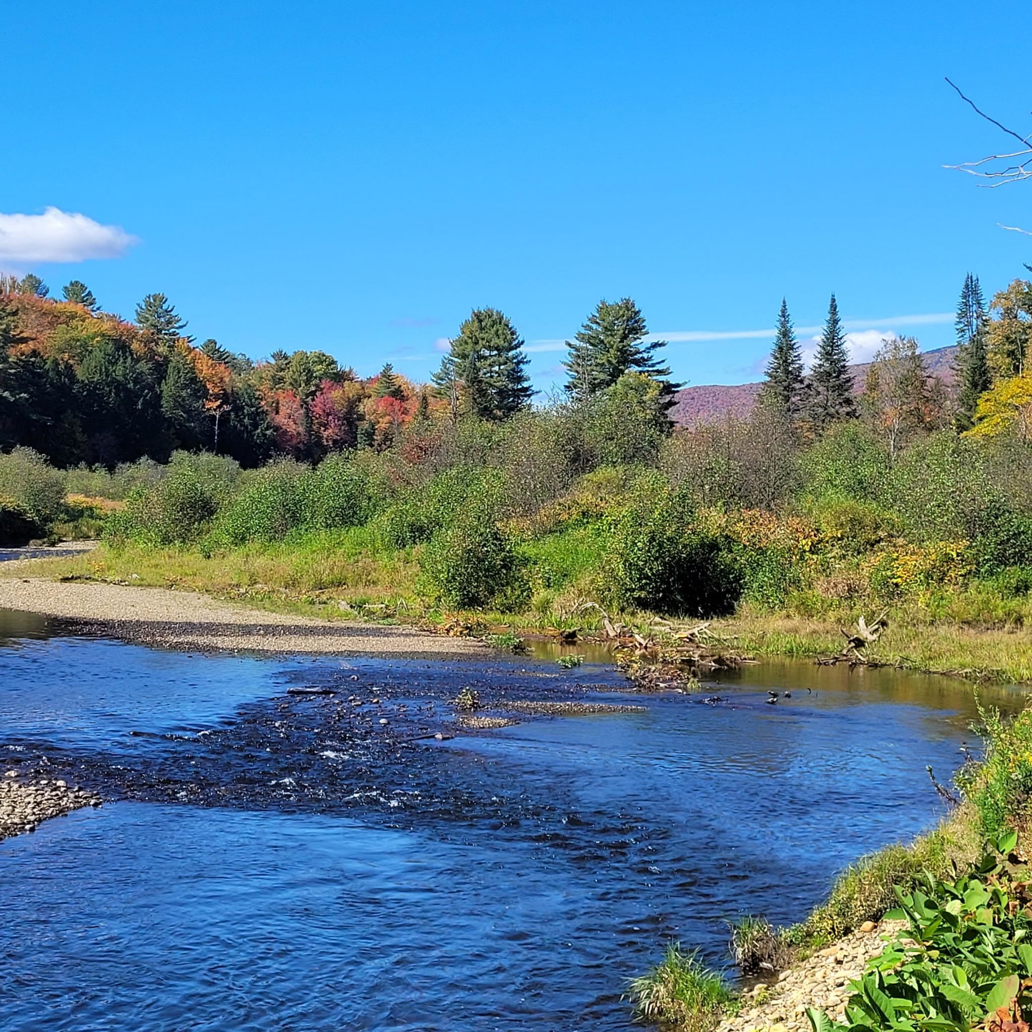 Shallow river beside a pebbled bank, with autumn foliage and evergreen trees.