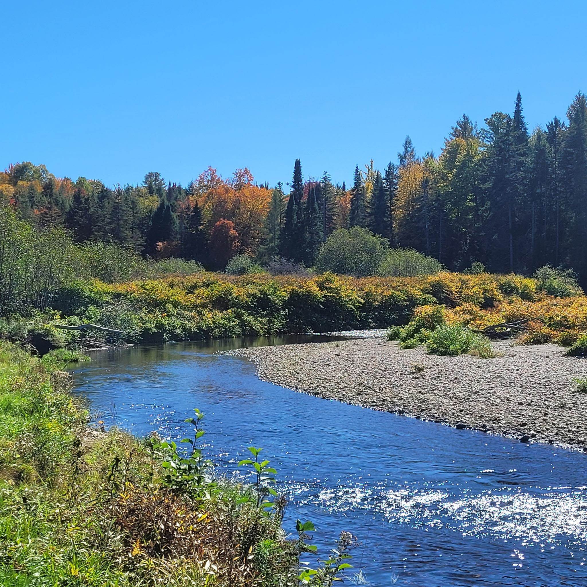 River curves around a gravel bar, bordered by autumn foliage and dense woodland.
