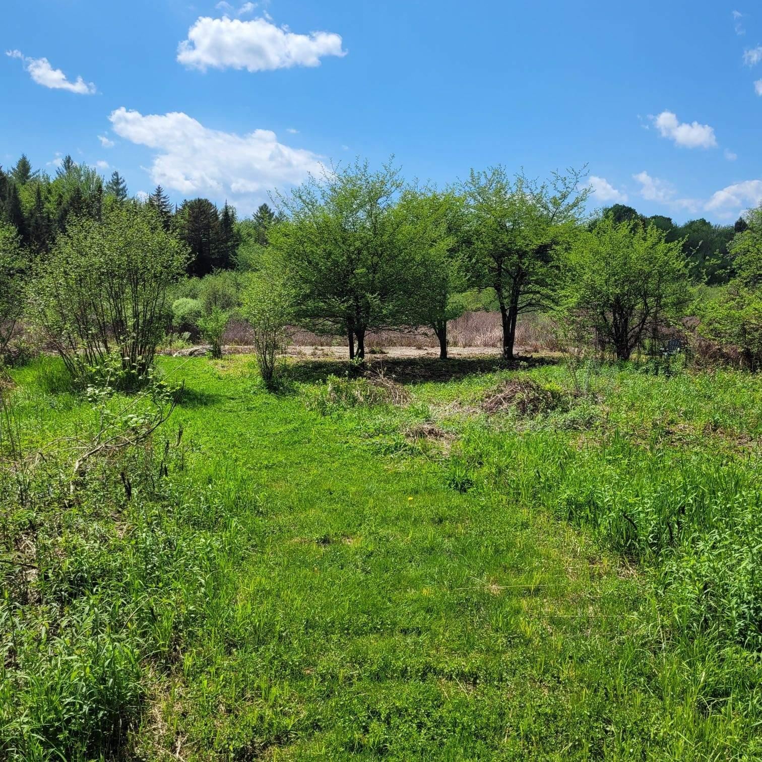 102 River Bend Meadow Drive
